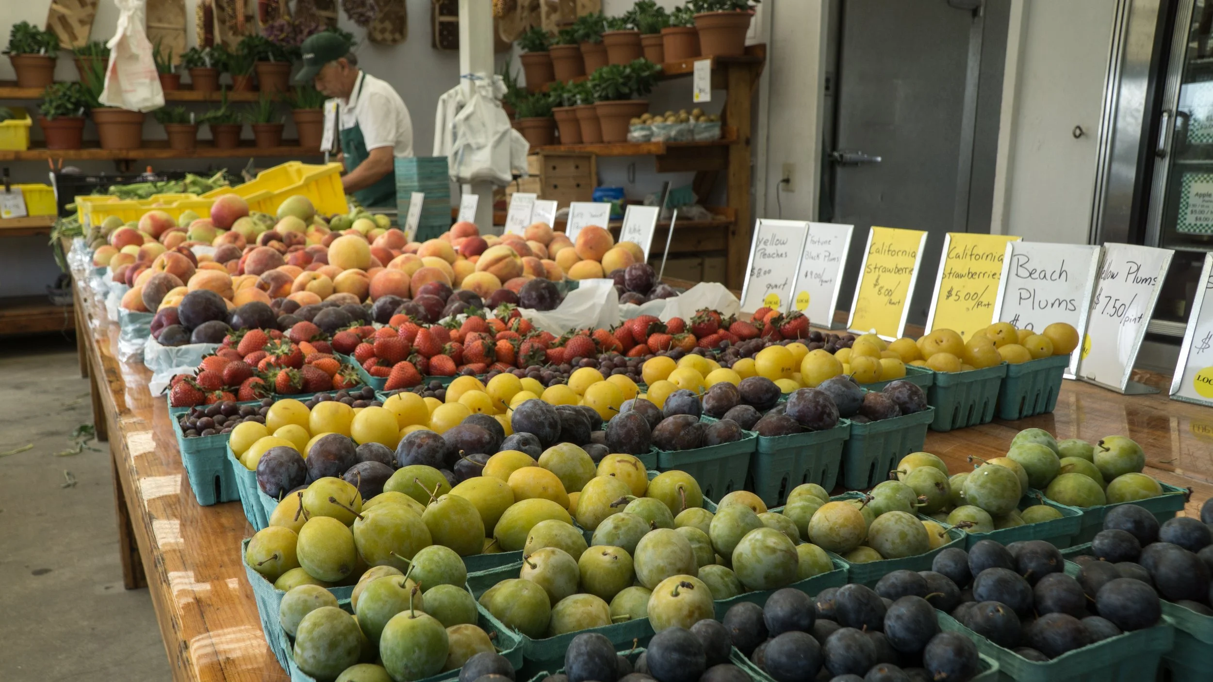 sdnet01-farmers-market-988780.jpg
