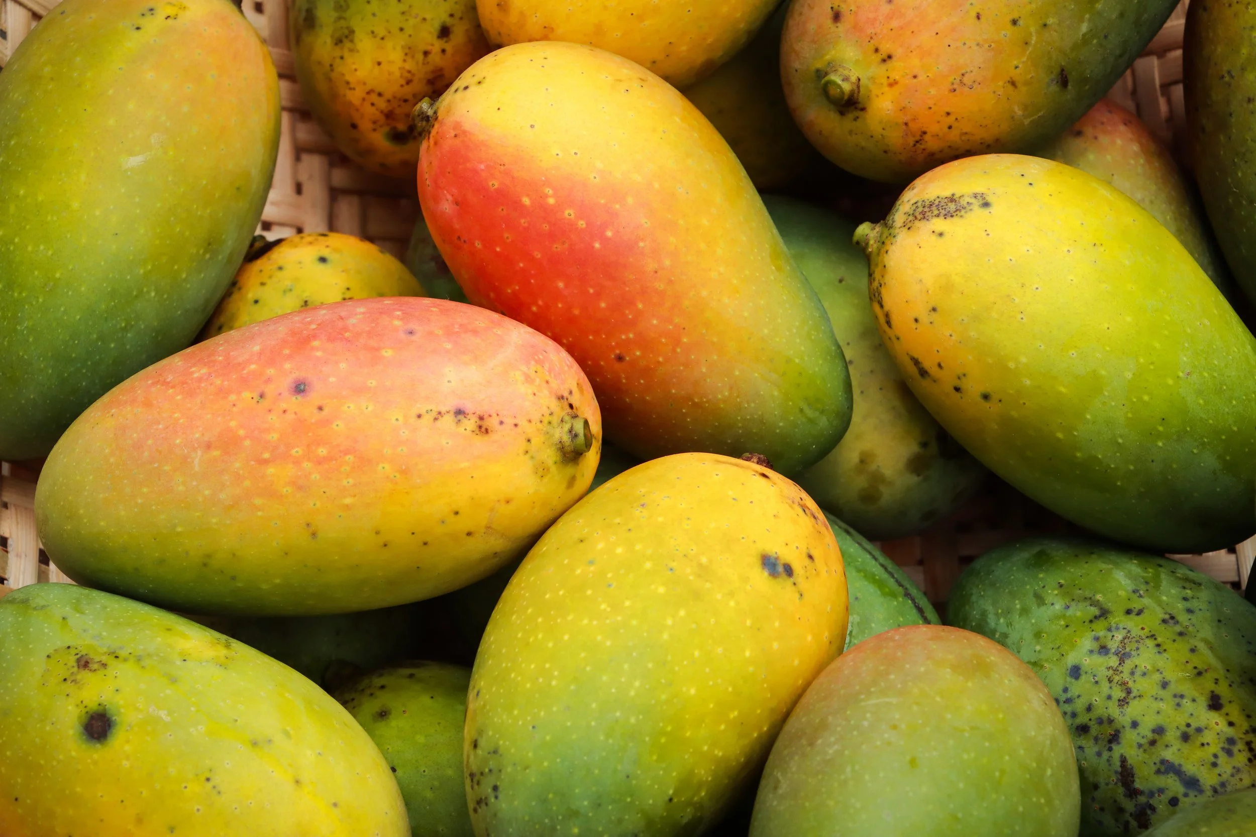 creativerejaul-fruit-7265295.jpg