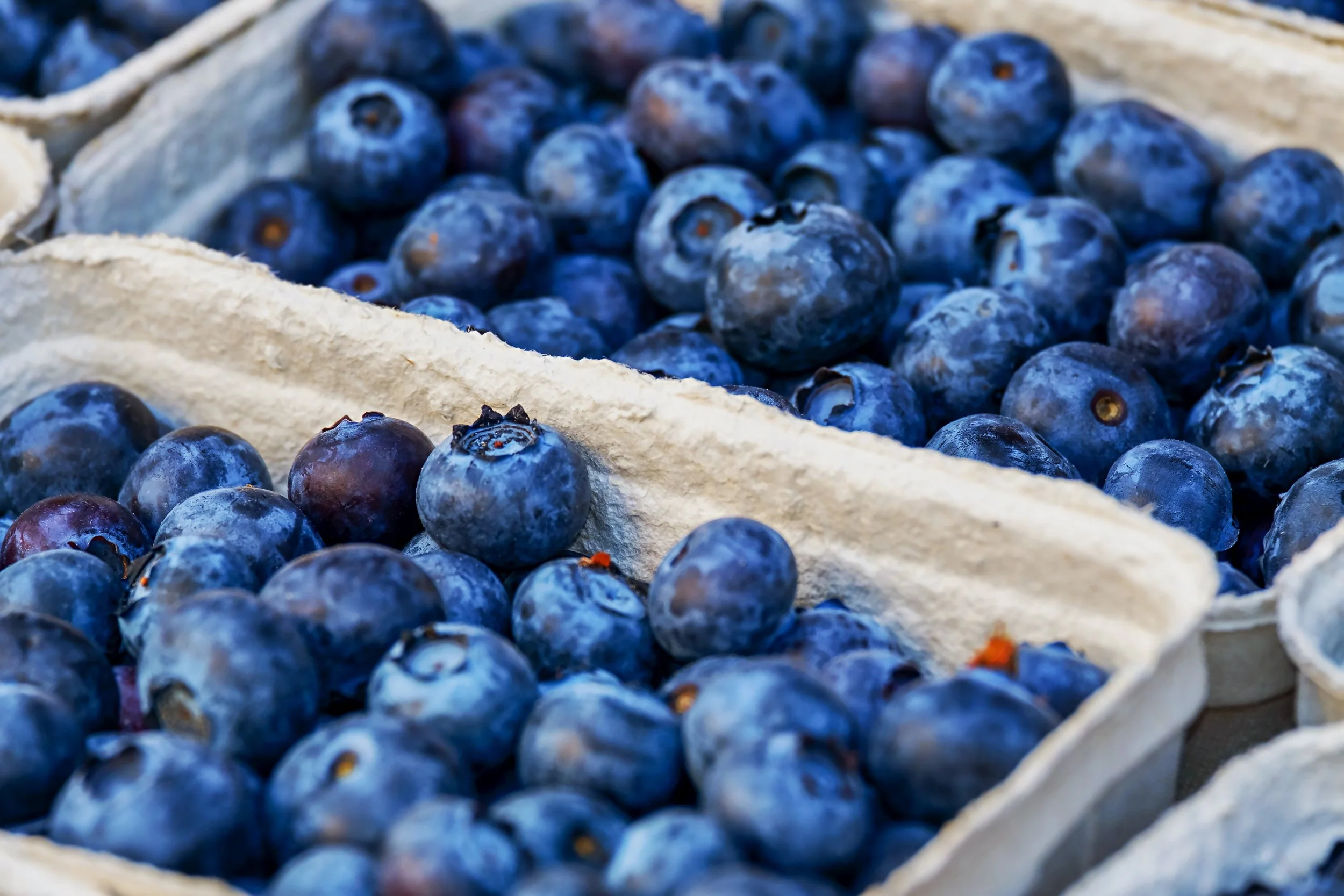 couleur-blueberries-3474854.jpg