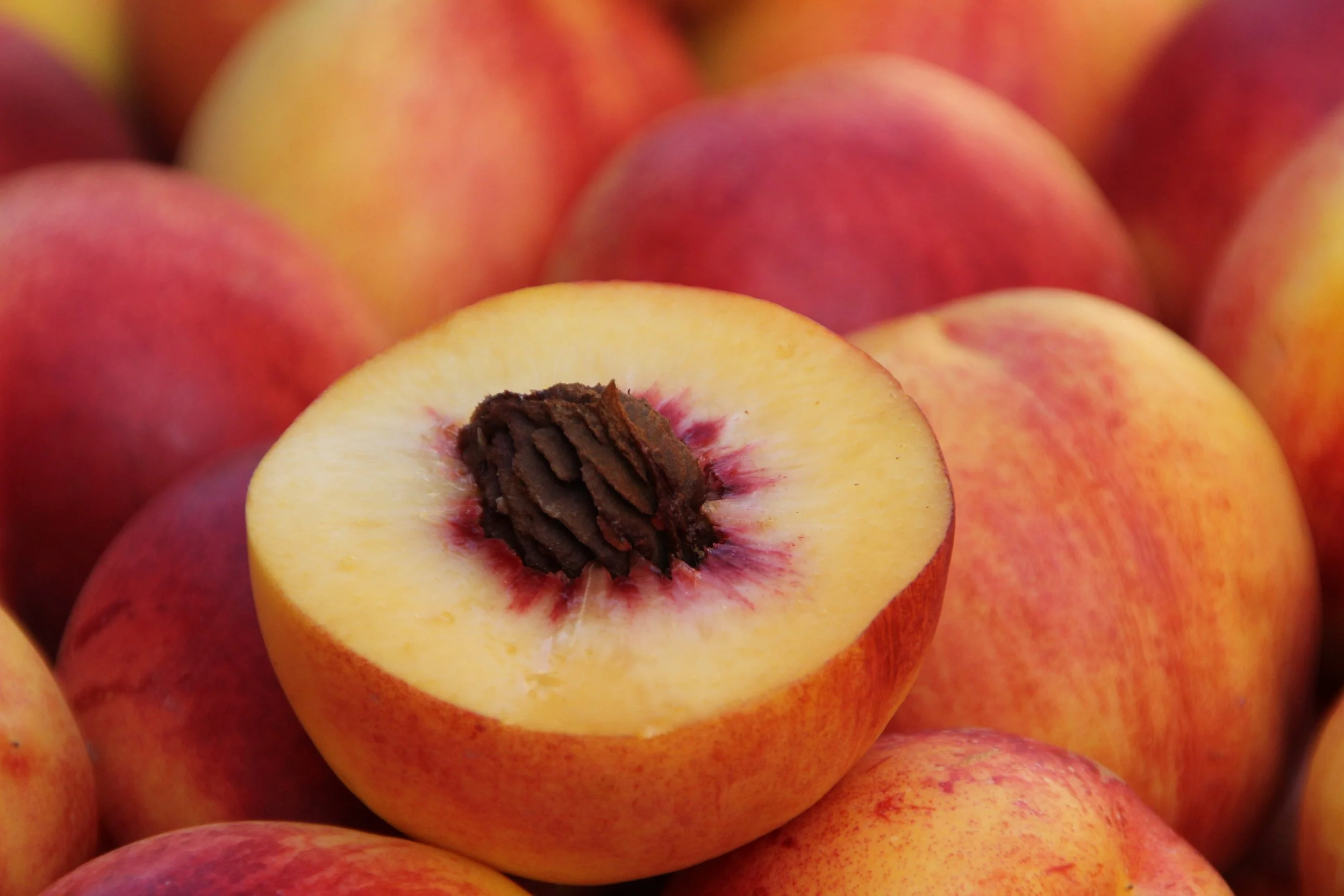 gerdschiffler-food-2784944.jpg