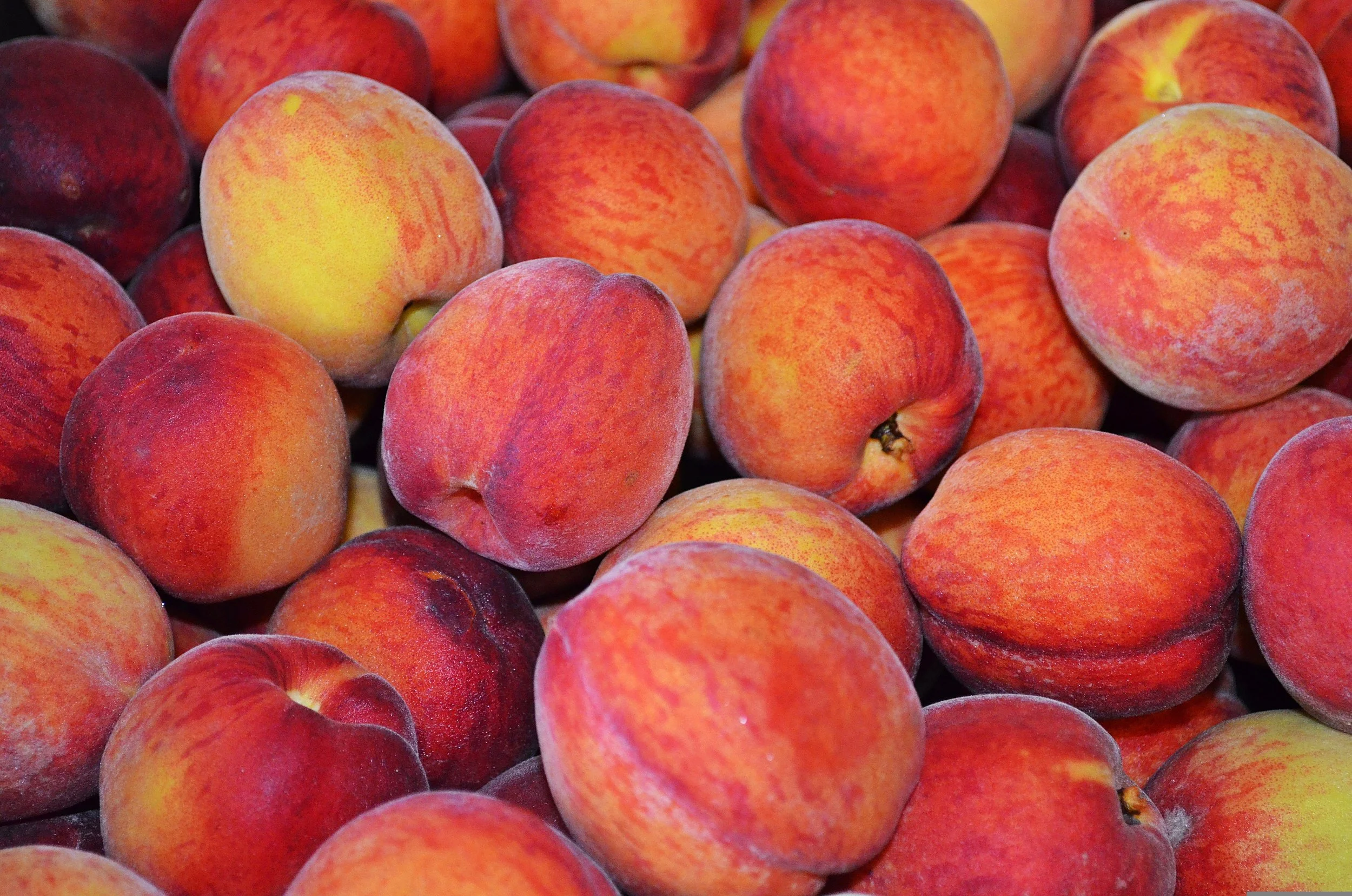 krzys16-peach-853879.jpg