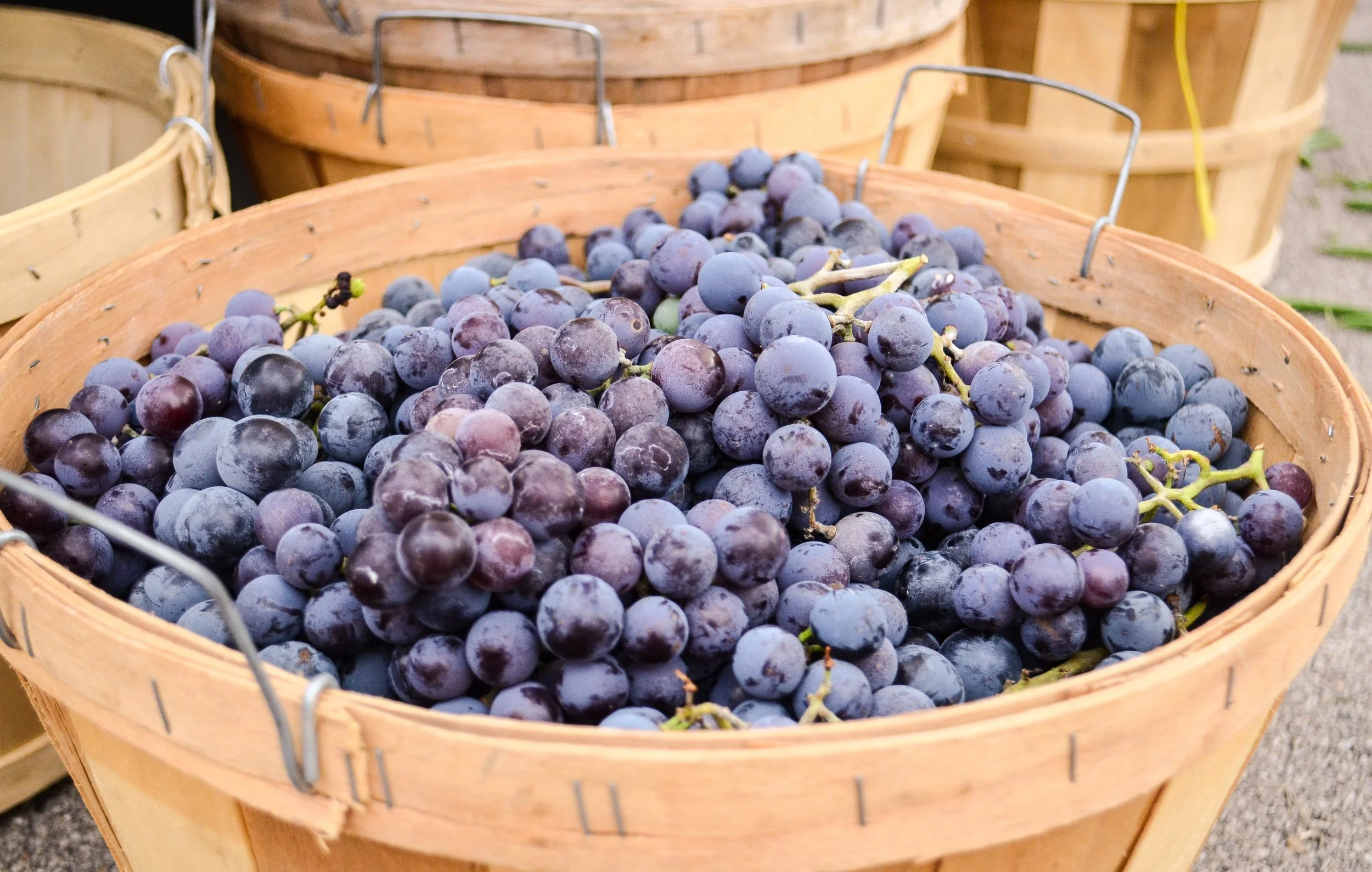 alissak_17-fruit-4950940.jpg