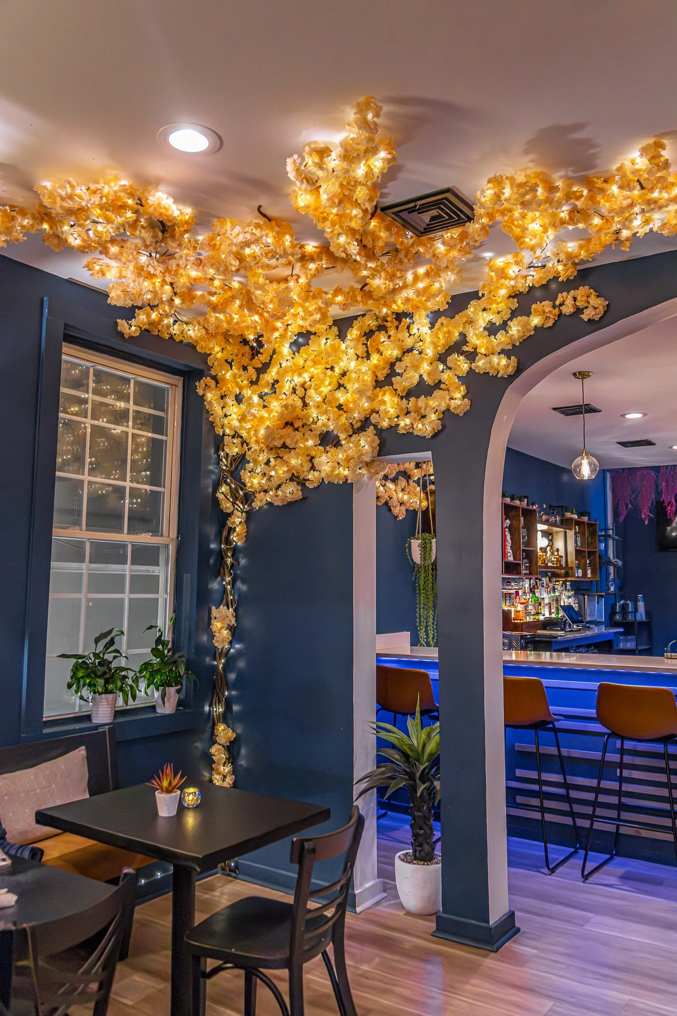 Agave Restaurant in New Paltz, NY is a vibrant Mexican & Asian Fusion restaurant offering tapa style dishes and handcrafted cocktails.