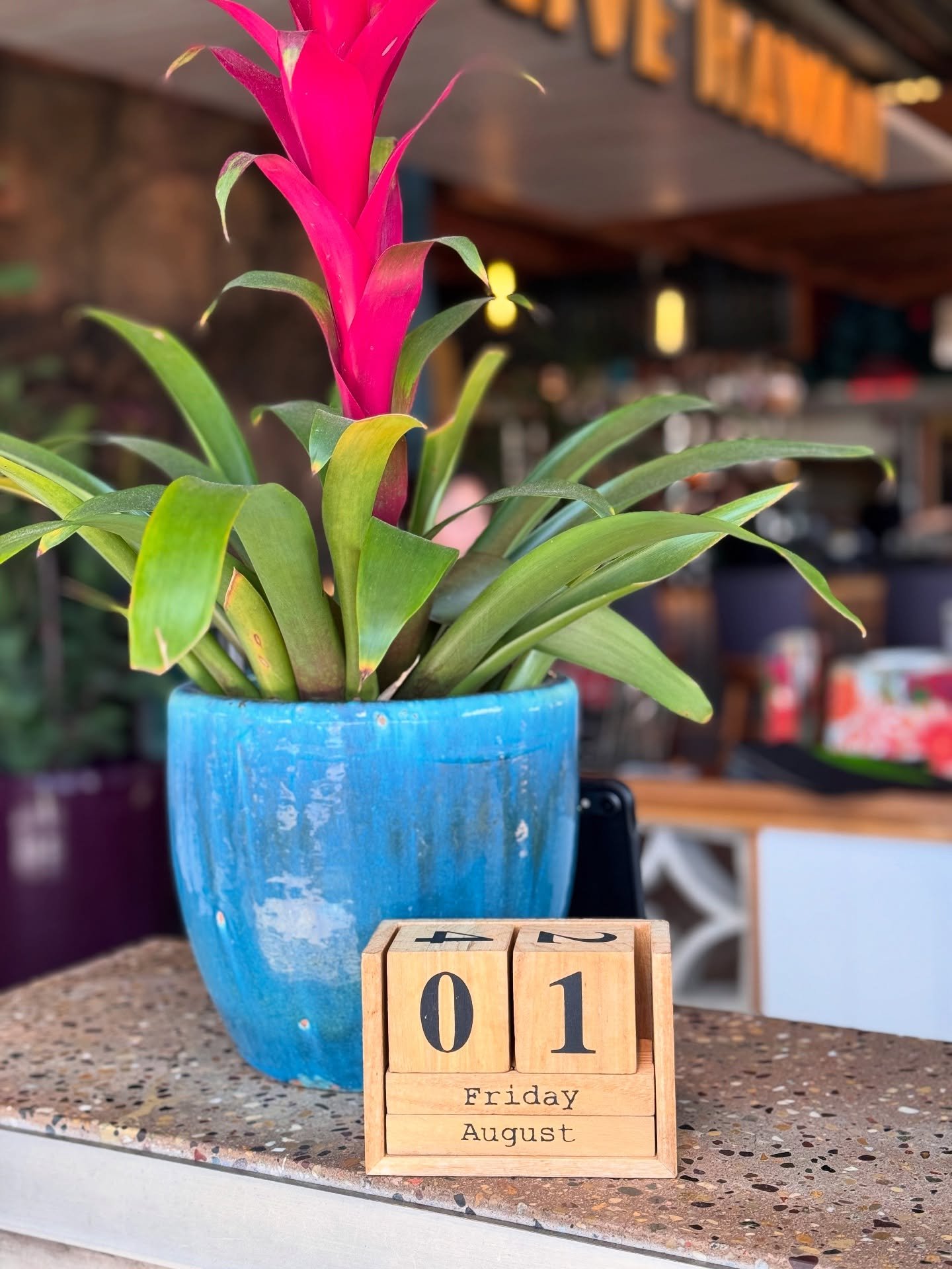 Birthday month ✅ + how my summer went 

1. Favorite restaurant on Oahu @monkeypodkitchen 

2. Summer &lsquo;25 Essentials Pack

3. Nothing says spontaneous like buying last minute tickets to a brand new @cirquedusoleil show exclusive to Hawaii @auana