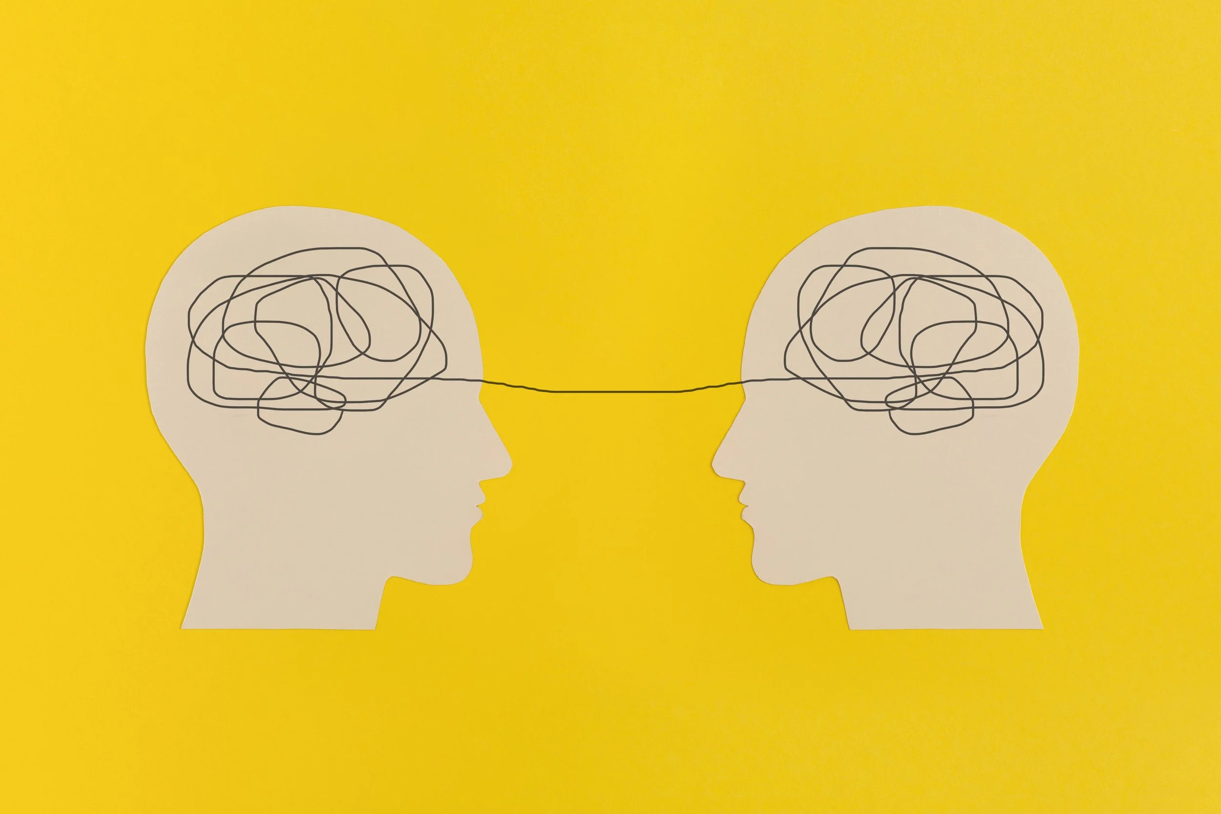 Perception and Interpretation