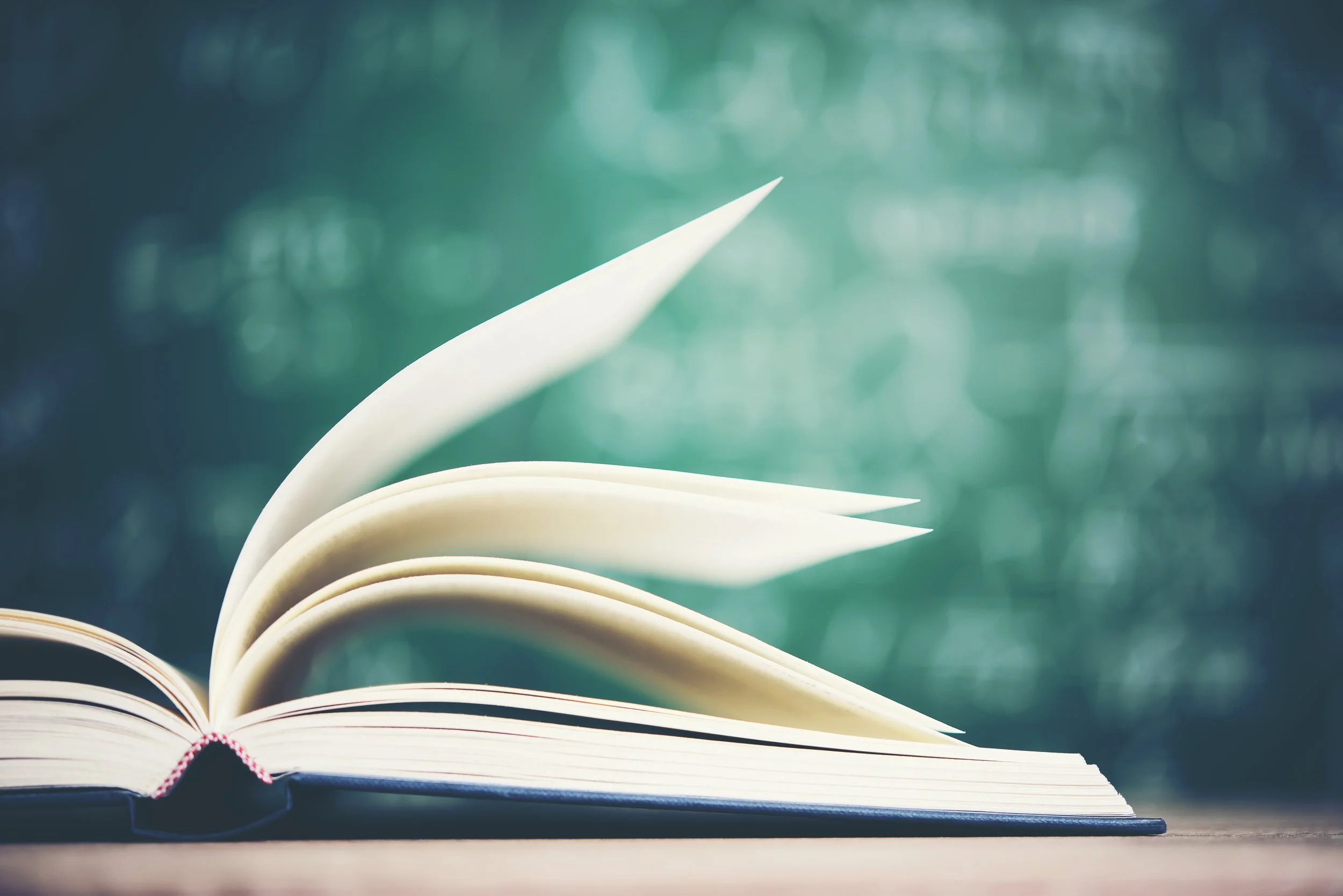 From Grammar to Story