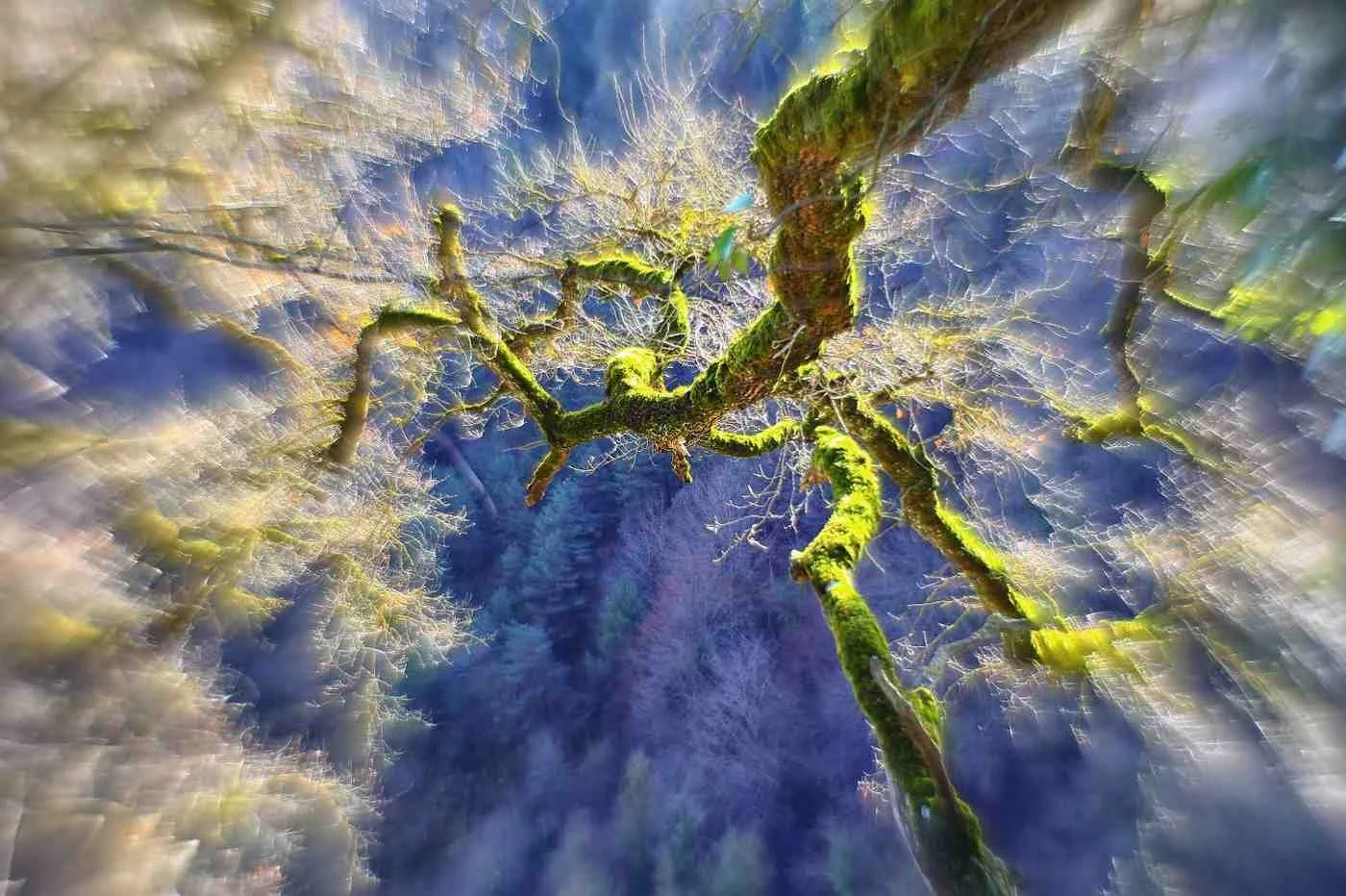 The Maiden Story Arc