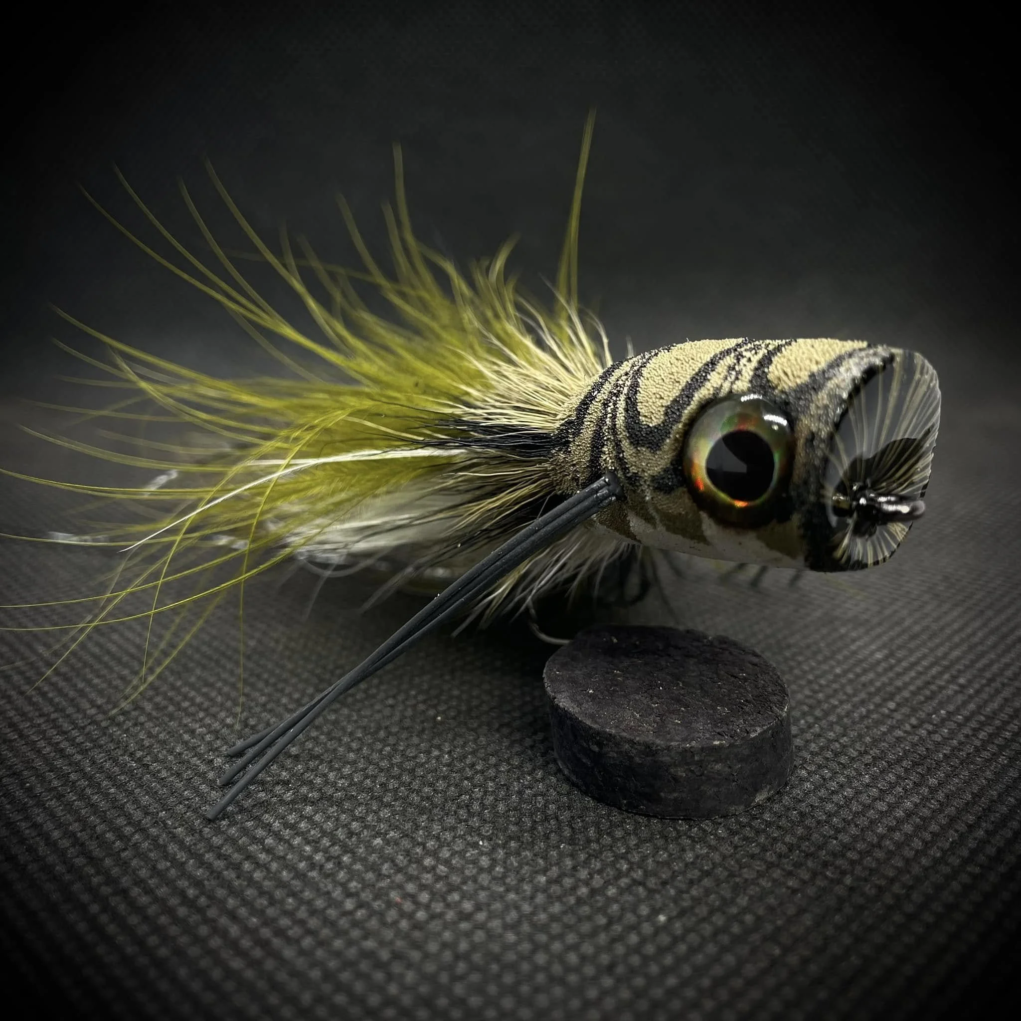 451017636_8378677812165320_1542548136018833600_n.jpg