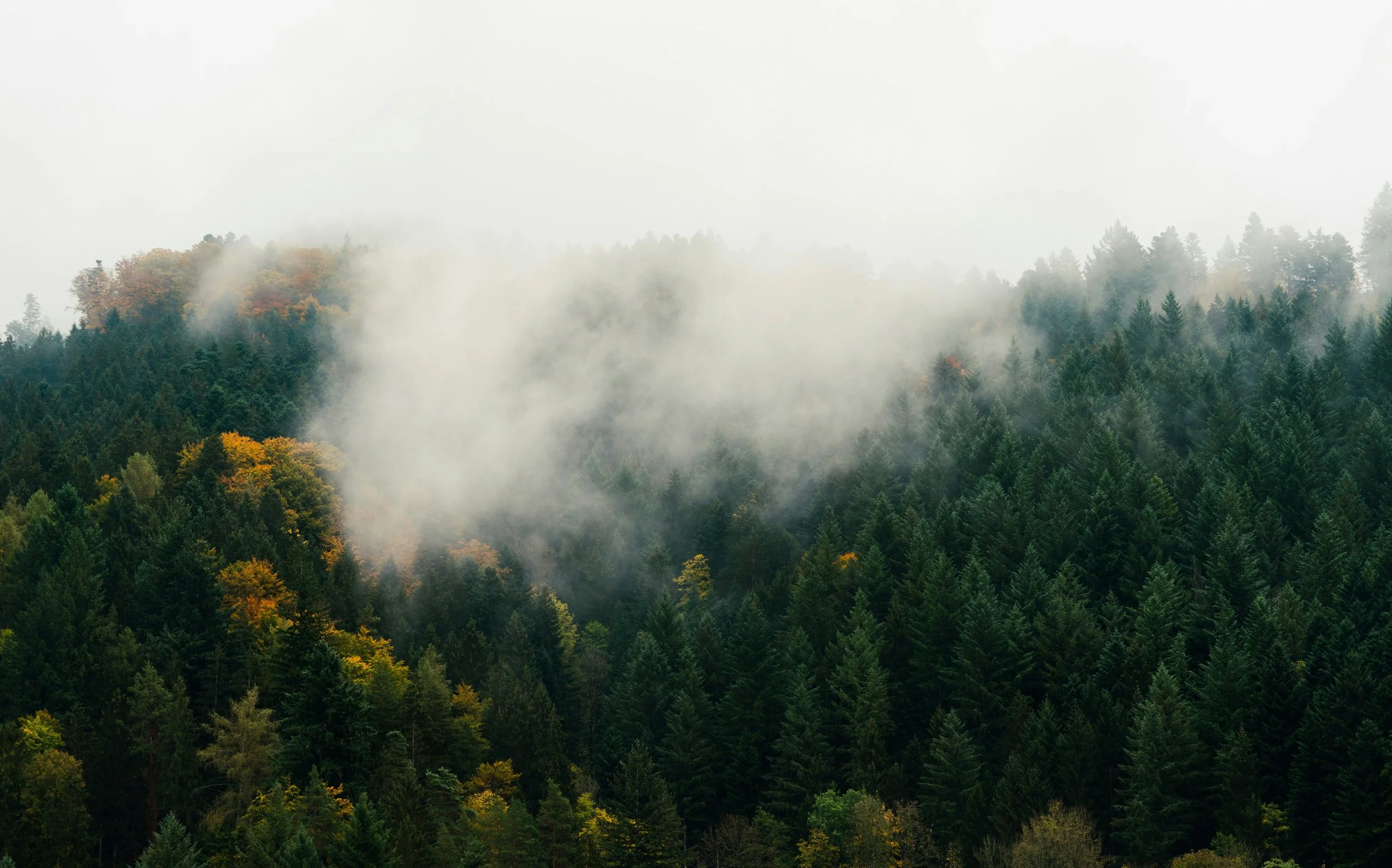 daniel-rauber-wOWEyyoFEyU-unsplash.jpg
