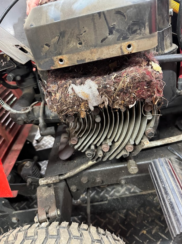 A dirty, clogged engine with a rats nest covering the top of the cooling fins, indicating it needs cleaning.
