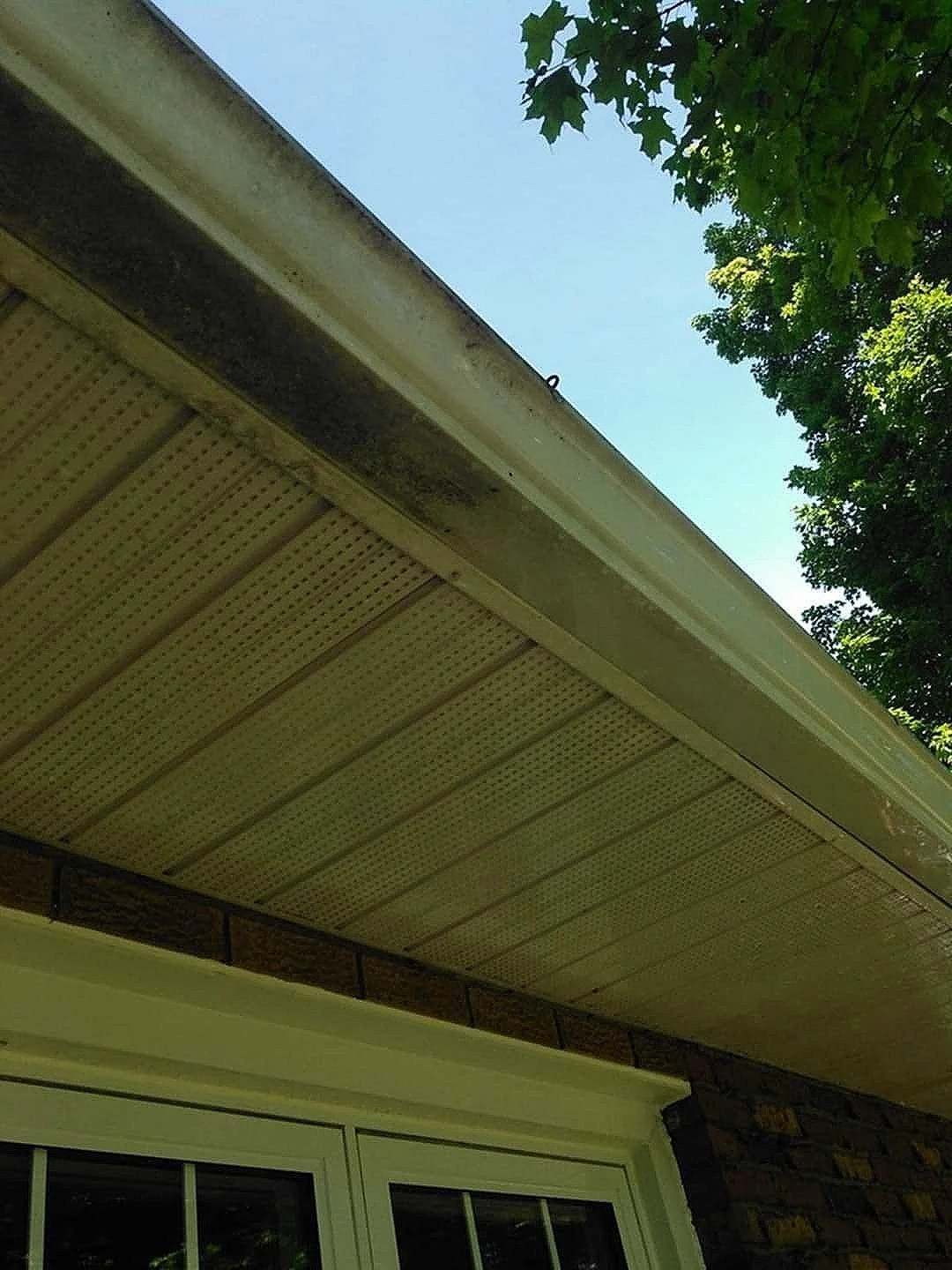 Avant-toit d'une maison avec une gouttière et des feuilles d'arbre au-dessus d'une fenêtre.