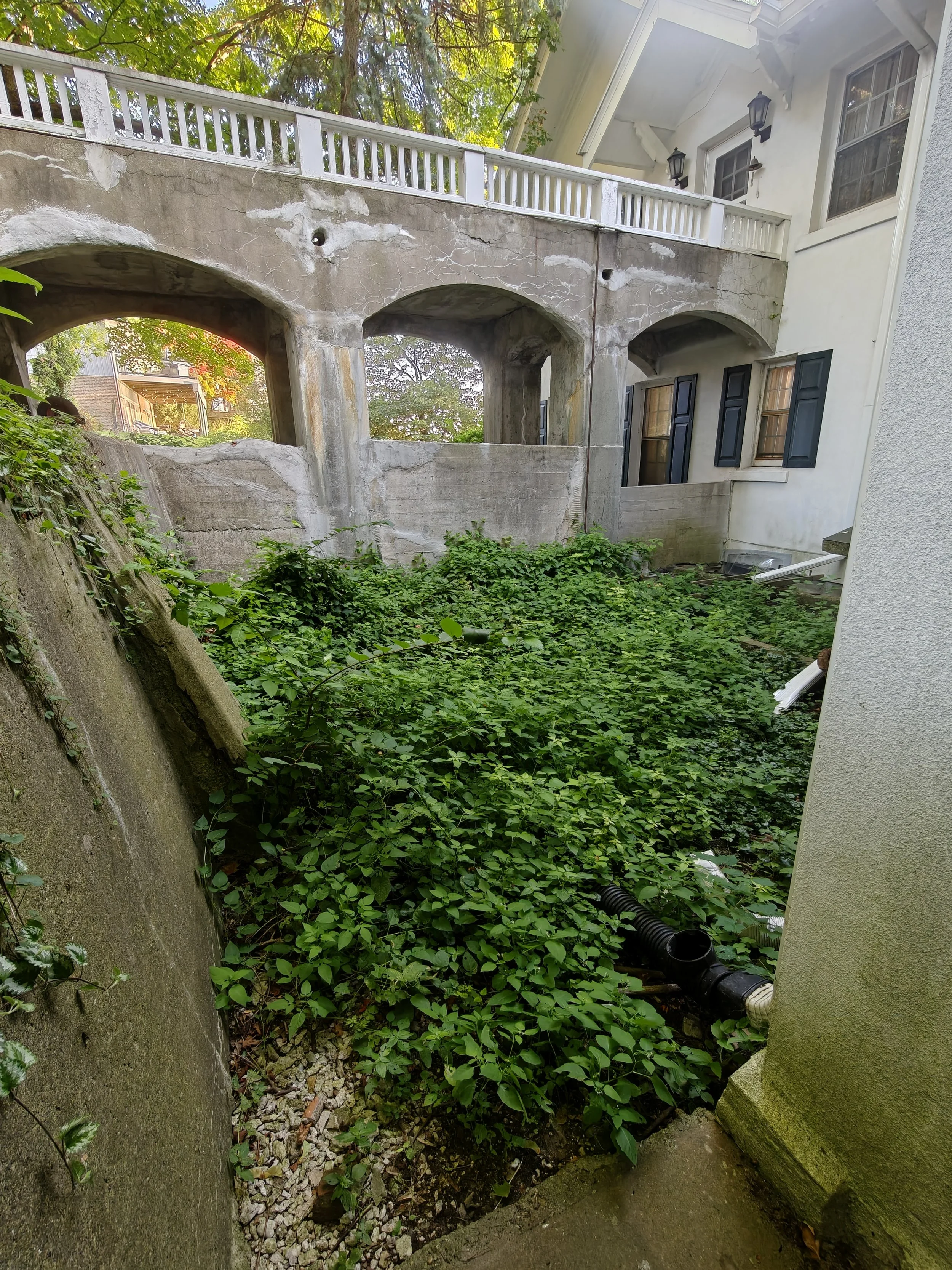 Backyard with overgrown green plants and vines, concrete and stucco walls, and an upper deck with a white railing and black lantern-style lights.