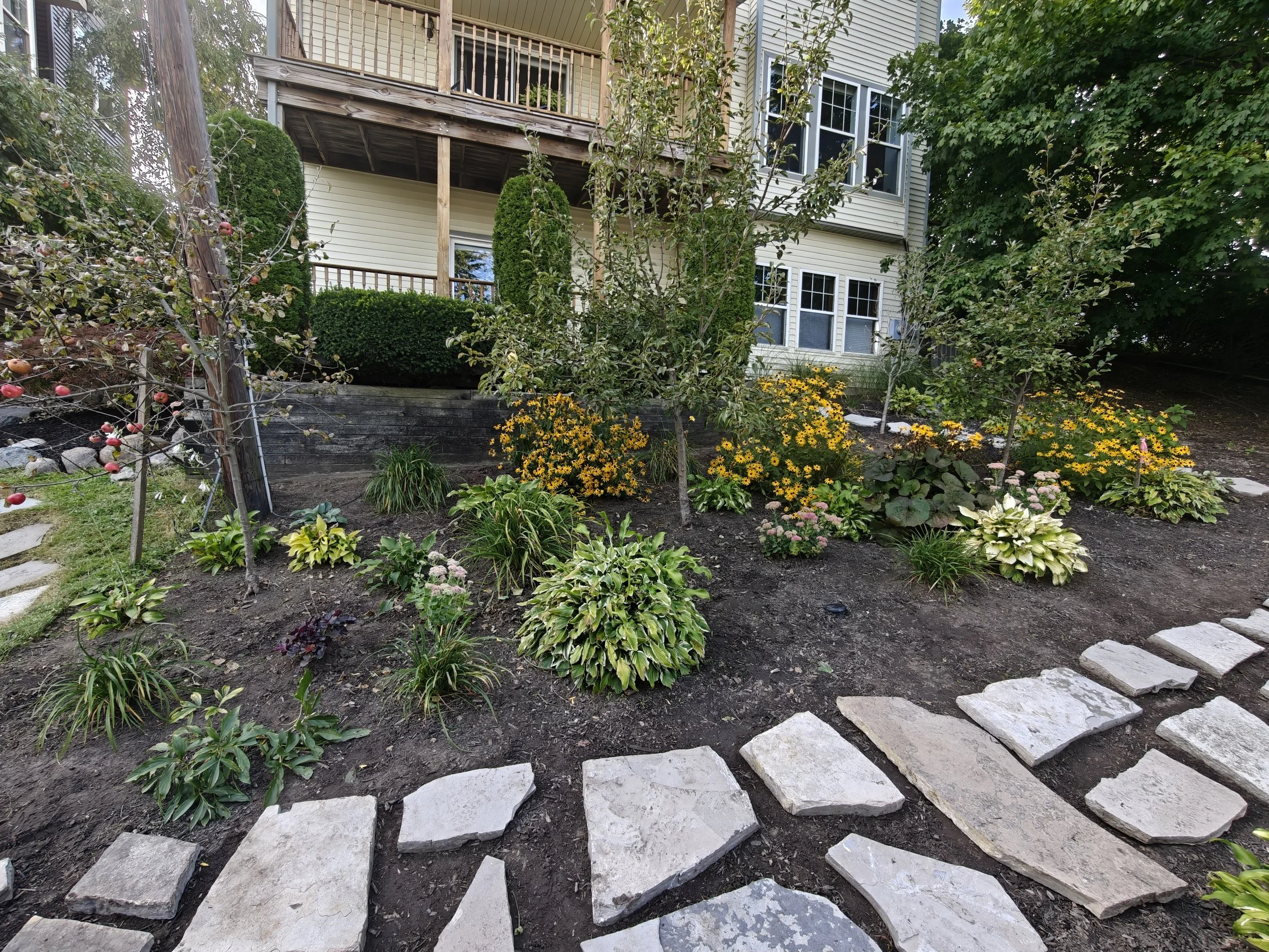 A landscaped front yard garden with a stone walkway, various plants, bushes, and small trees, with a two-story house in the background.