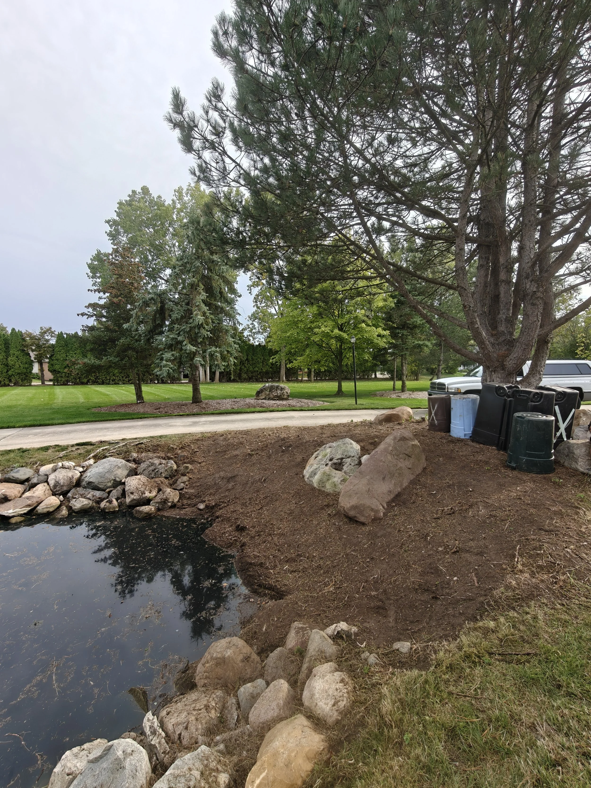 A park scene with a pond in the foreground, rocks around the pond, and a large tree with a leaning trunk to the right. Behind the tree, there are trash bins and a white SUV. The background includes a grassy area with smaller trees and a pathway.