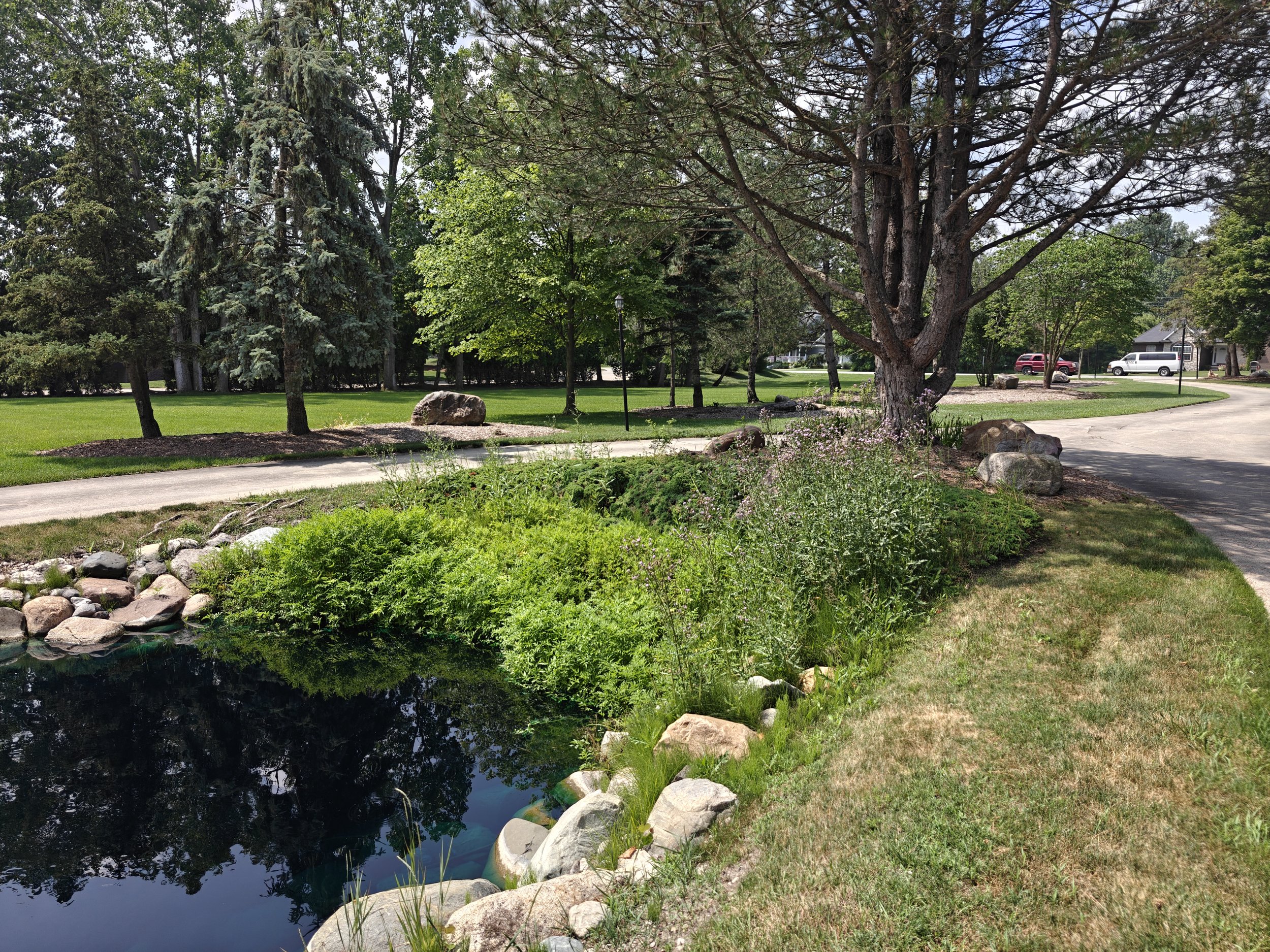 A landscaped park with a small pond edged with rocks, green shrubs, and trees, including a large tree with spreading branches, a sidewalk, and parked cars in the background.