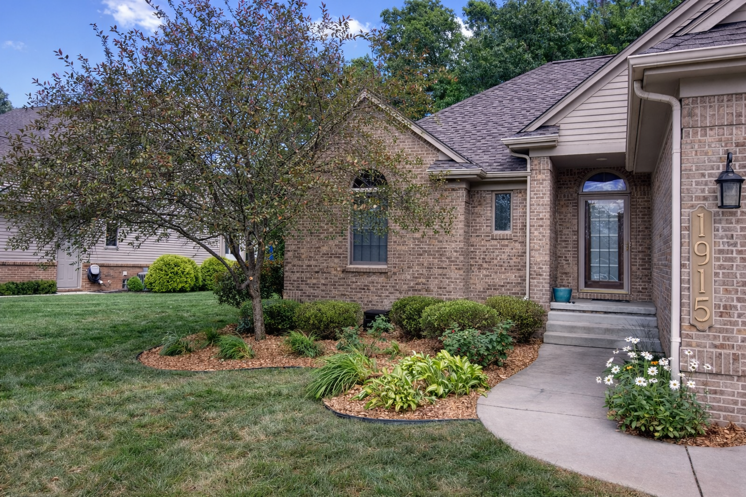 Front yard of a brick house with a landscaped garden, a tree, bushes, and white flowers, with a concrete pathway leading to the front door.