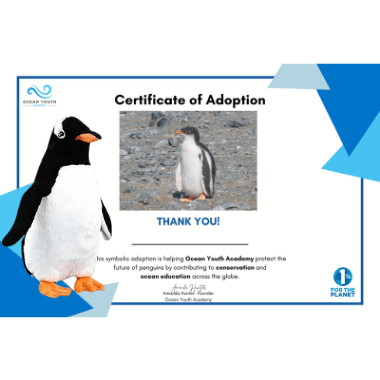 2026 Adoption Program Tiers (Snapchat Collection Ad Thumbnail).png