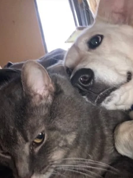 Fridays at MPC are Fur Family Fridays! Here's some of our favorite staff pet pics: