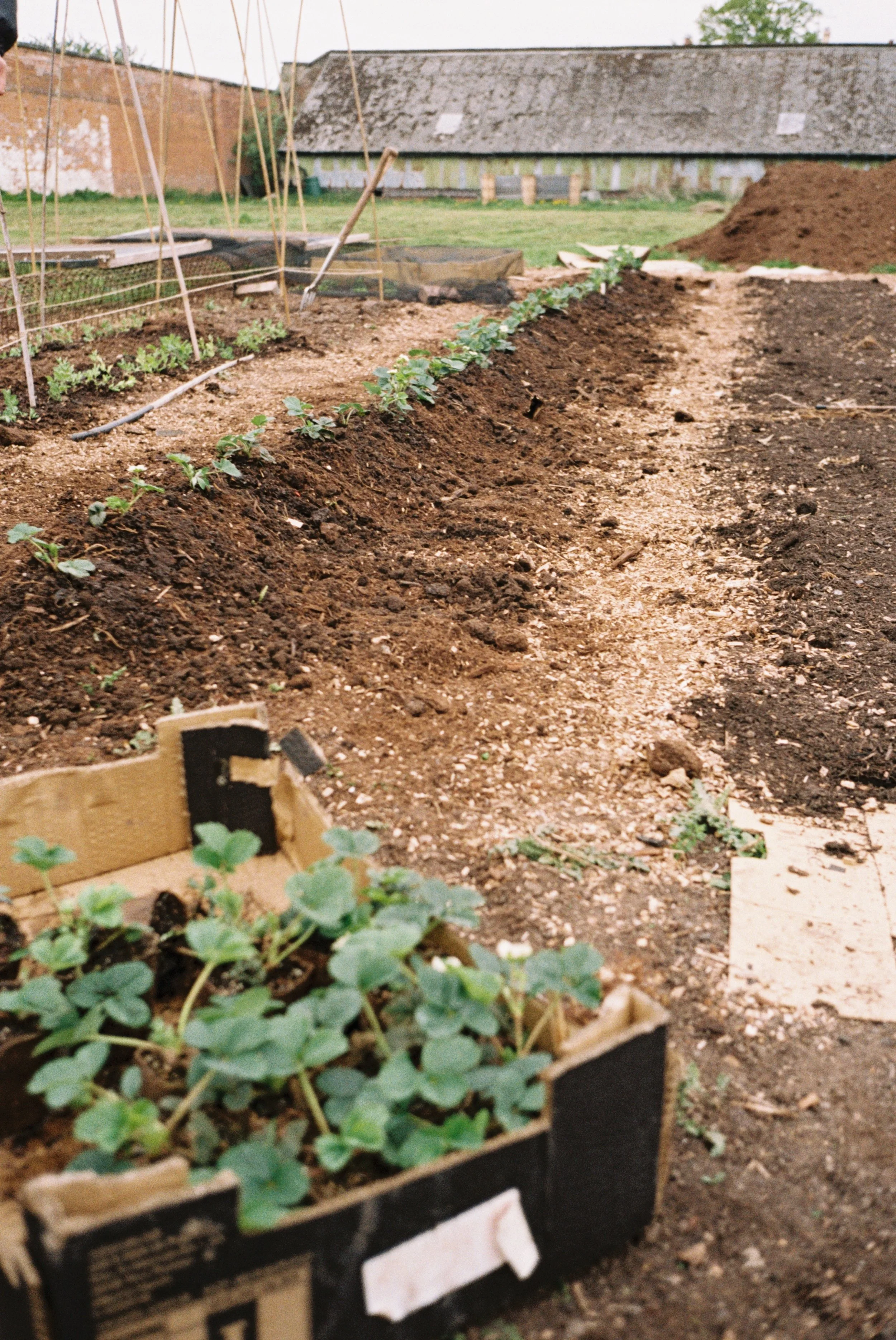 0009290-R1-11-11 3.jpeg