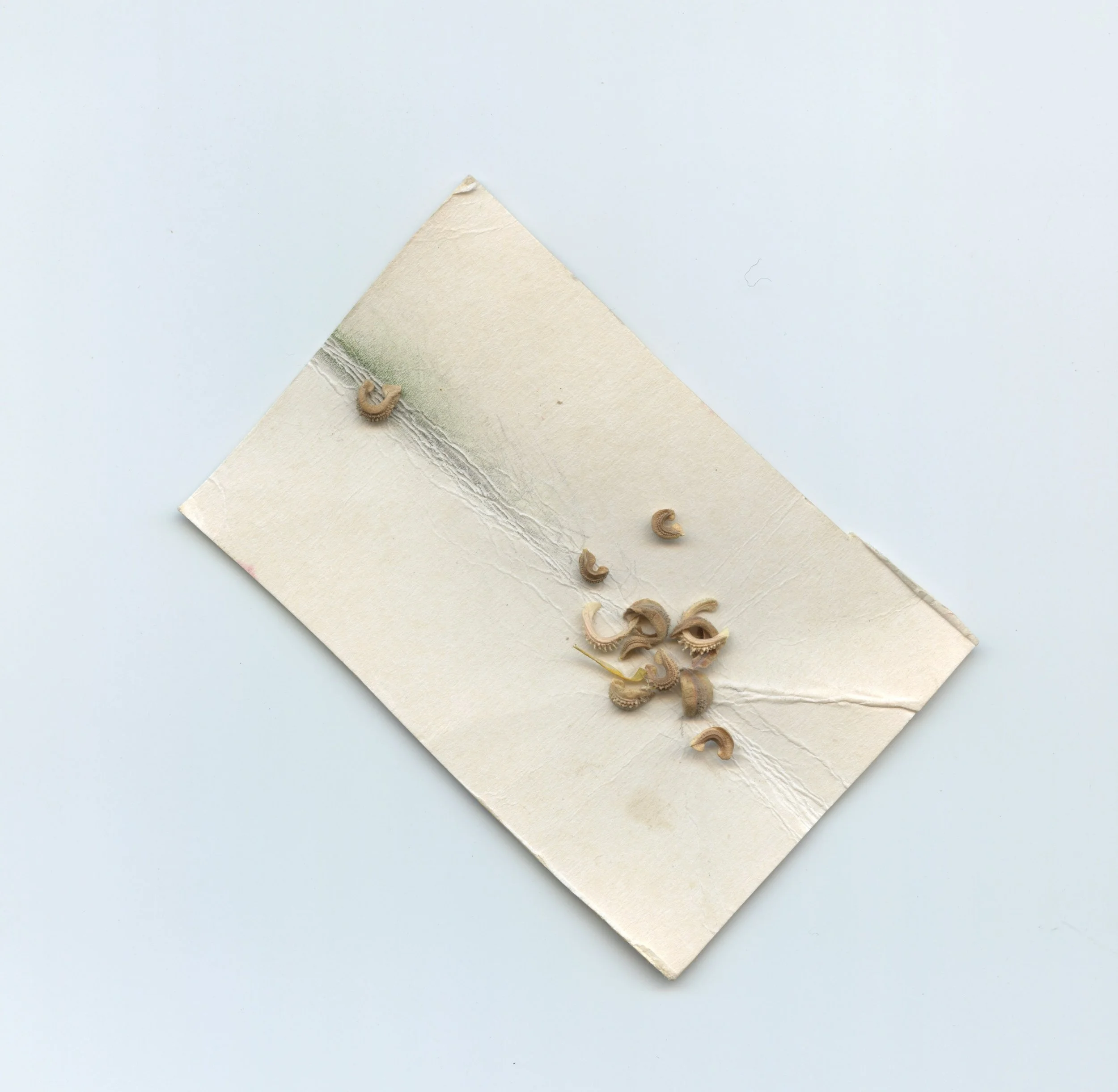 flat grey and cal.jpeg