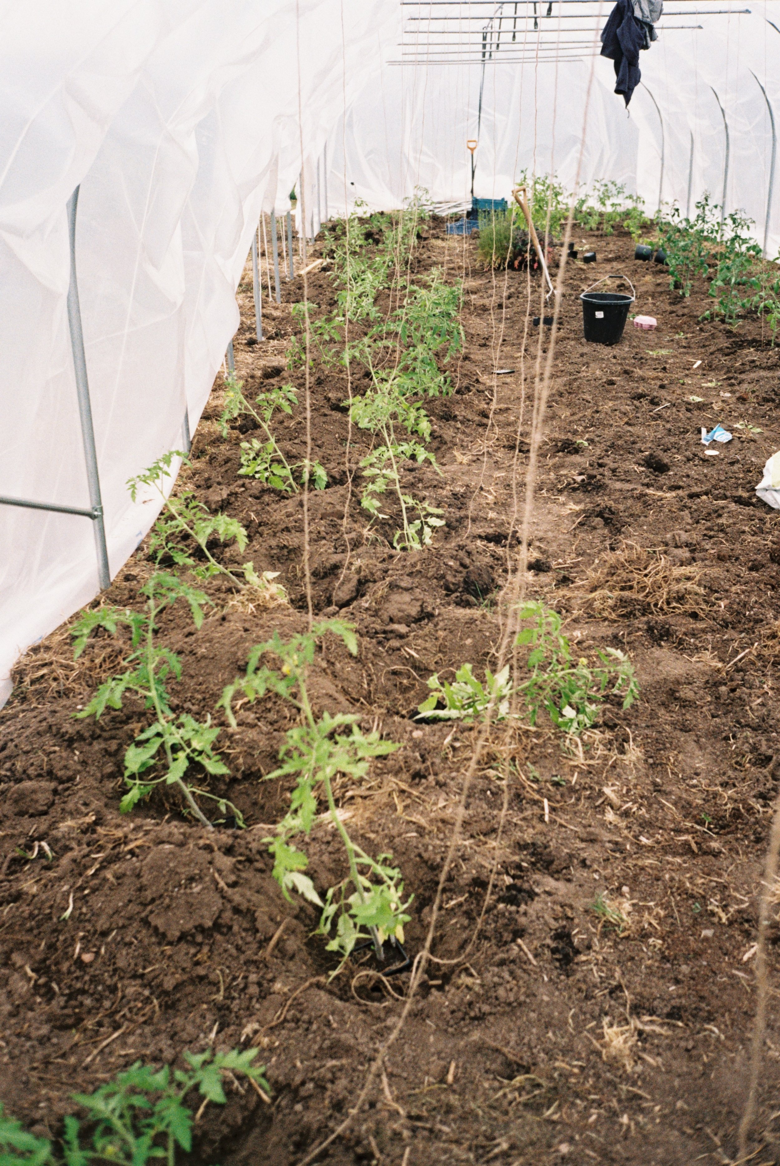 0009290-R1-23-23 3.jpeg