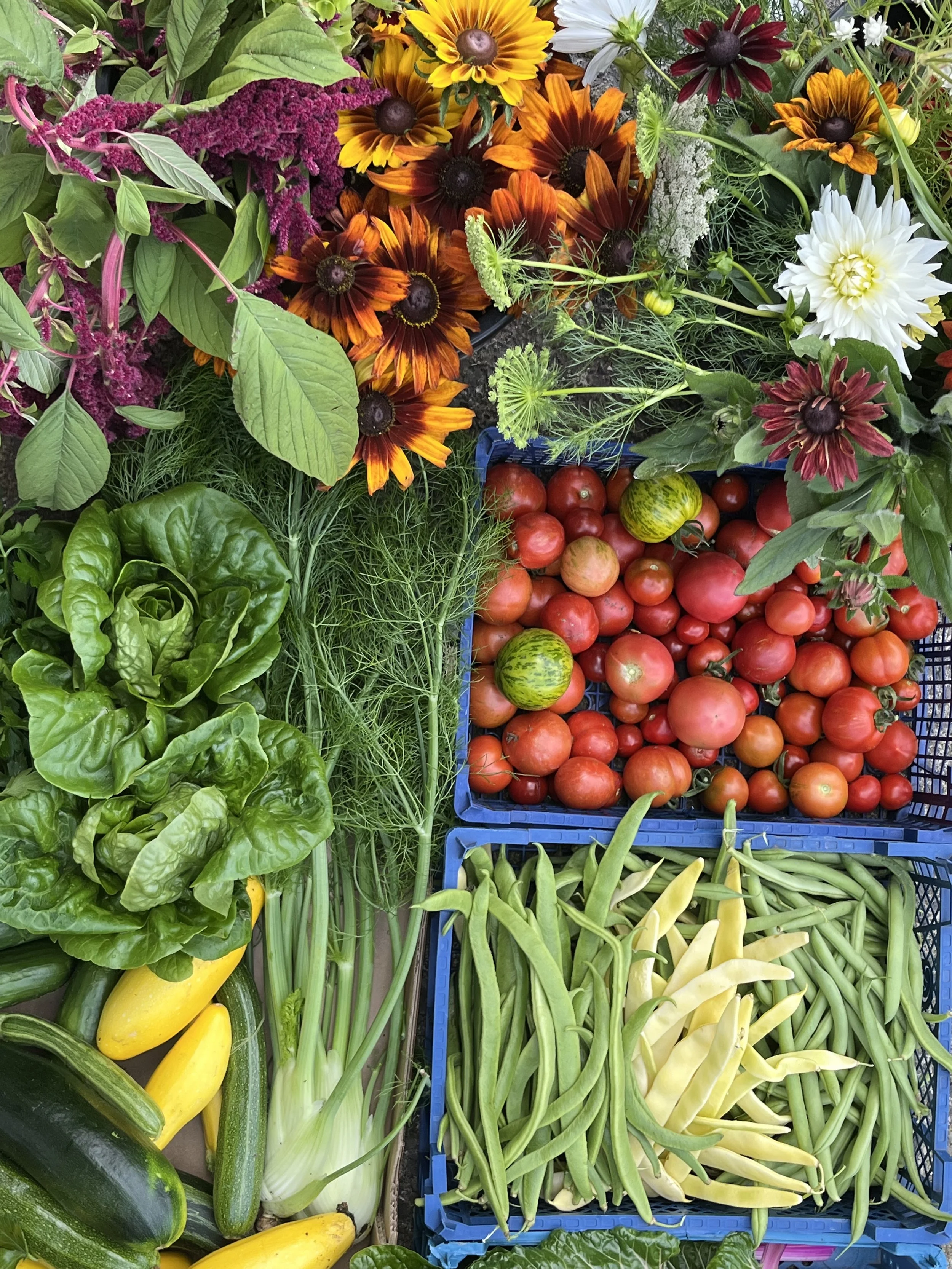 Mixed veg, fruit and flower box