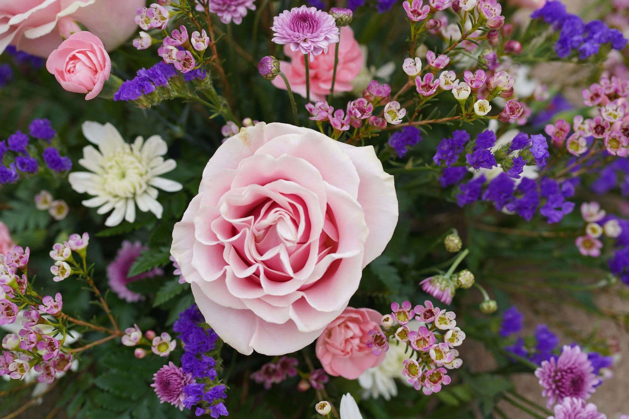 Introduction to Floristry