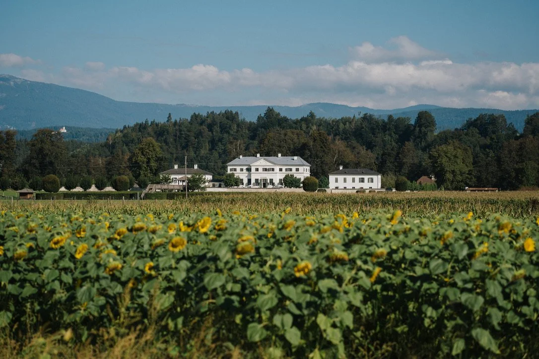 A landwirtschaftliche Szene mit Sonnenblumen im Vordergrund und dem Schloss Rosegg im Hintergrund, umgeben von grünen Bäumen und Hügeln unter einem blauen Himmel mit Wolken.