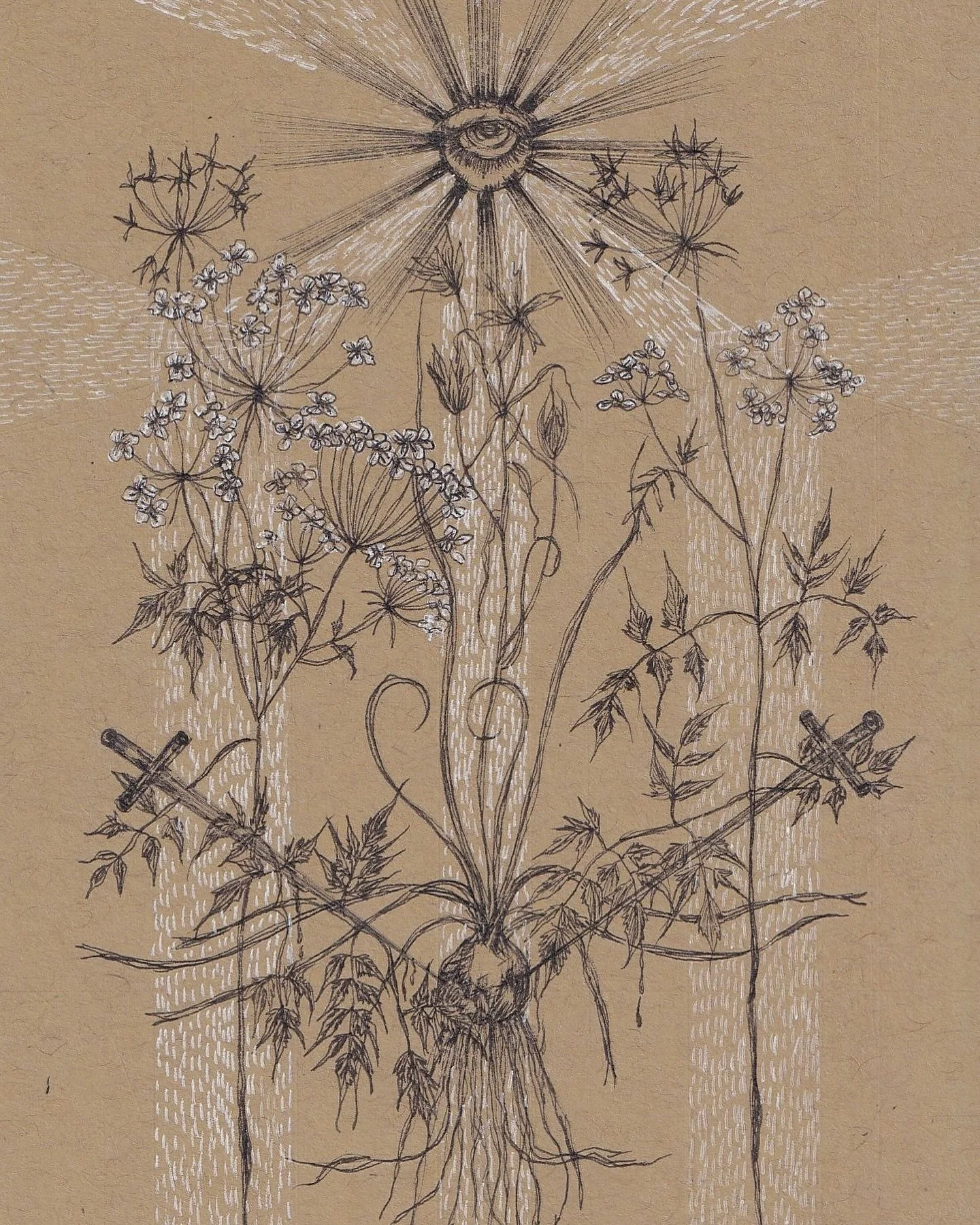 - Home - Cicuta, commonly known as water hemlock, and ornithogalum umbellatum, commonly known as star of Bethlehem, pierced by two daggers dripping in their nectar with a radiating eye above.

A small 4x6 piece created for a group art exhibition with