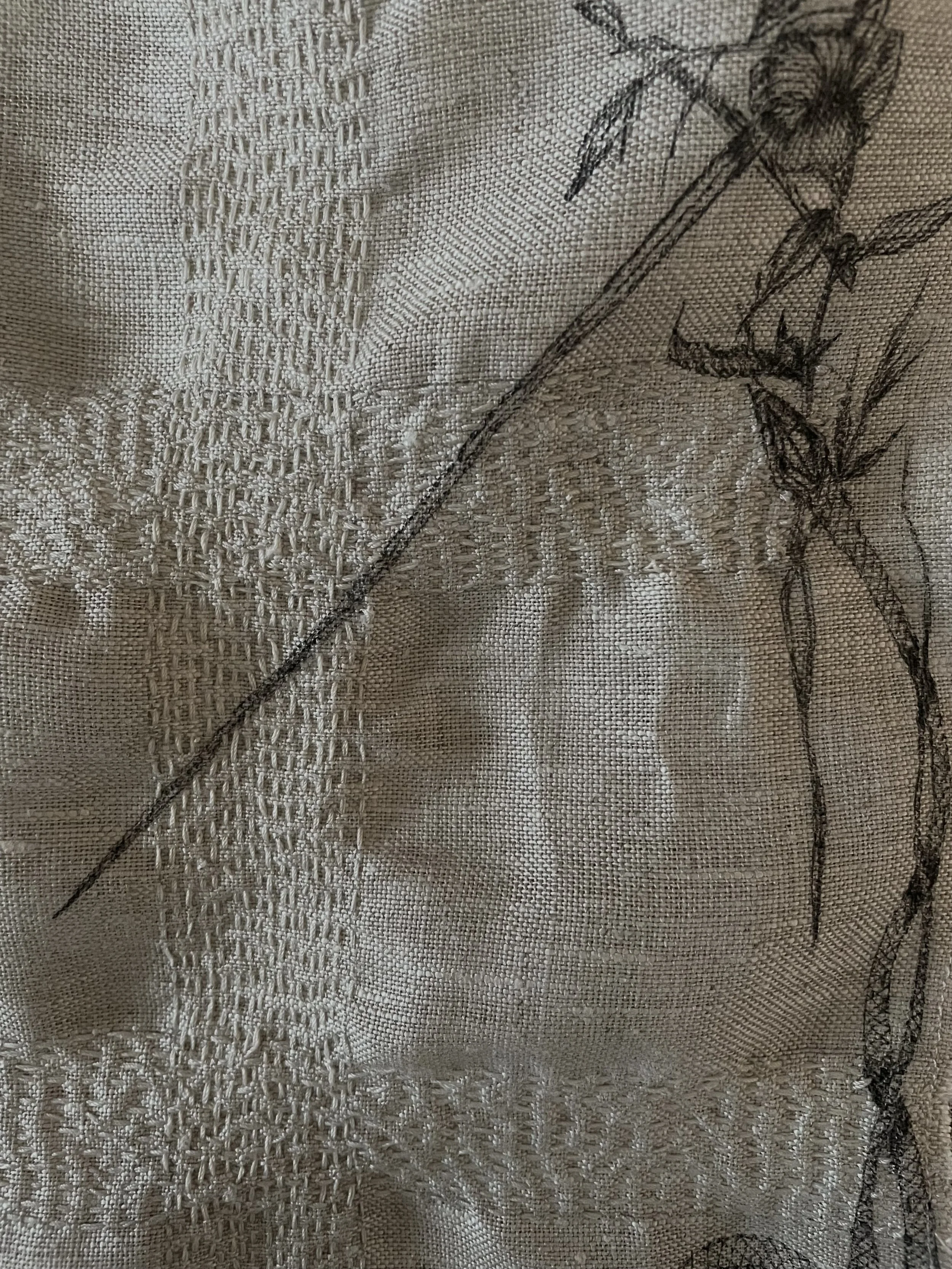 02_Preparing for Ecdysis.jpeg