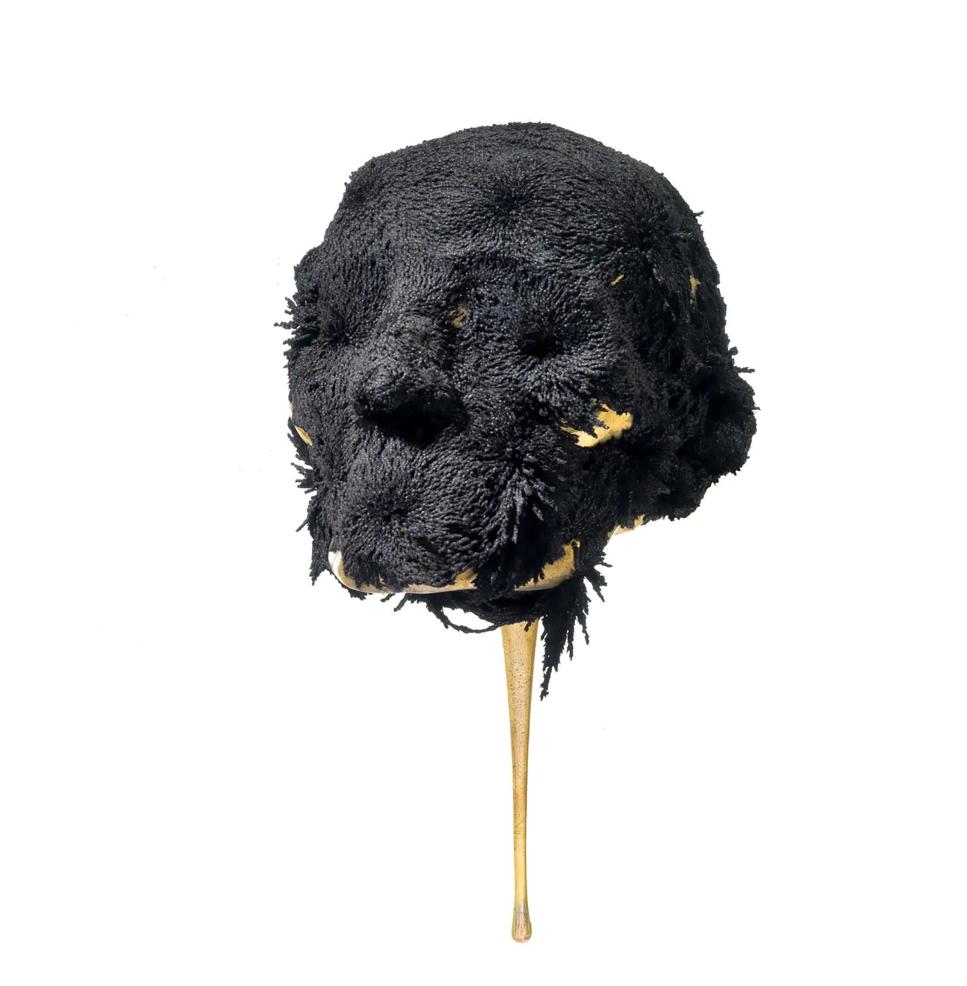 201X-Masque-de-Jericho-3_web.jpg