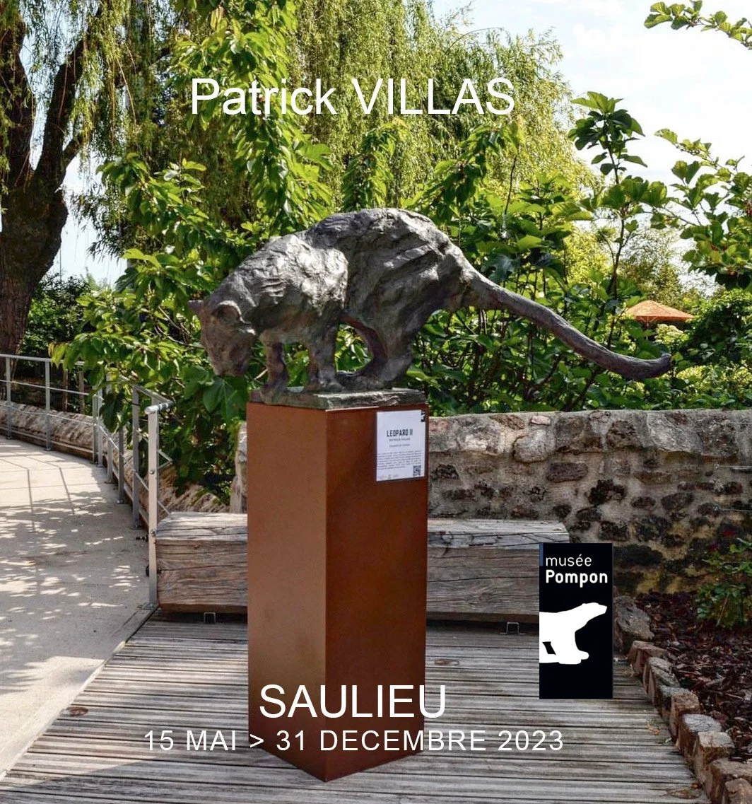 INSTITUTIONNEL - SAULIEU - PATRICK VILLAS EN VILLE &amp; MUSEE POMPON ! 