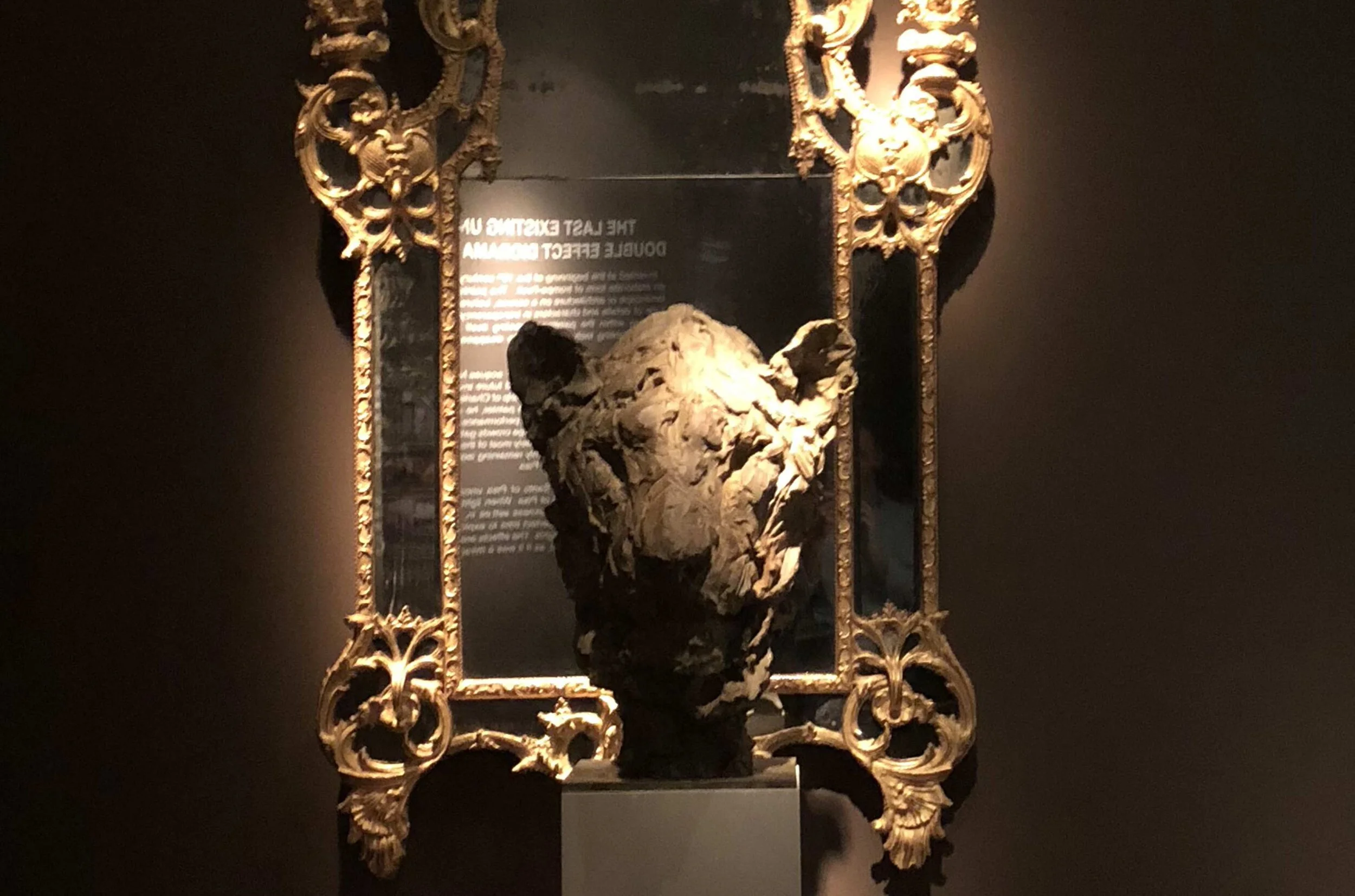 FOIRE - PATRICK VILLAS @ TEFAF - MAASTRICHT - PARTENARIAT GALERIE PERRIN