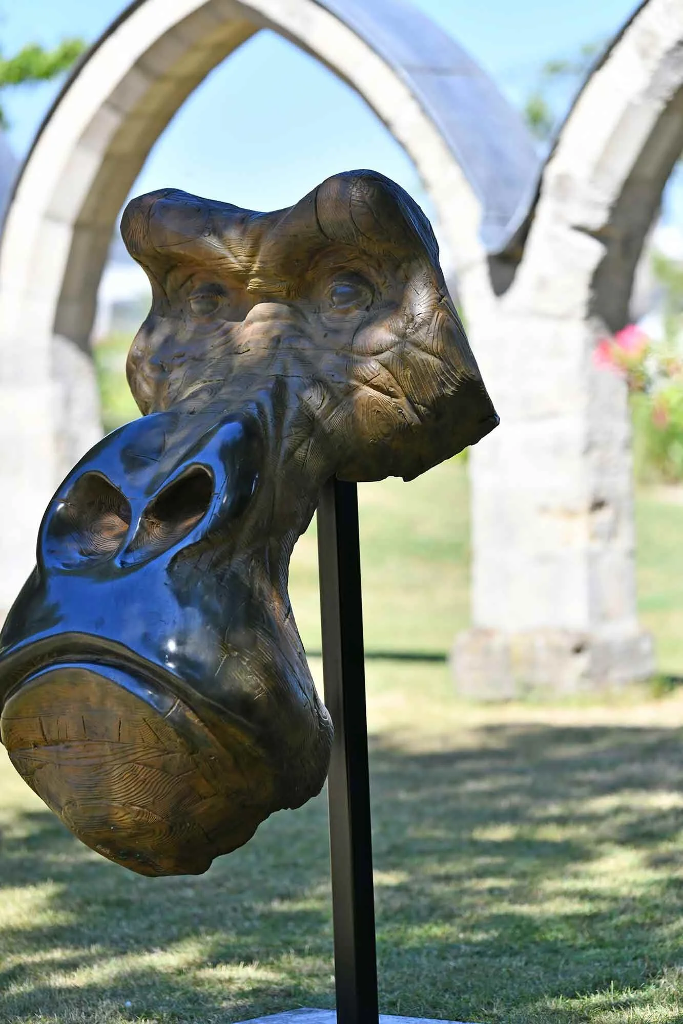 partenariatCompiegne_Gorille_n3.jpg