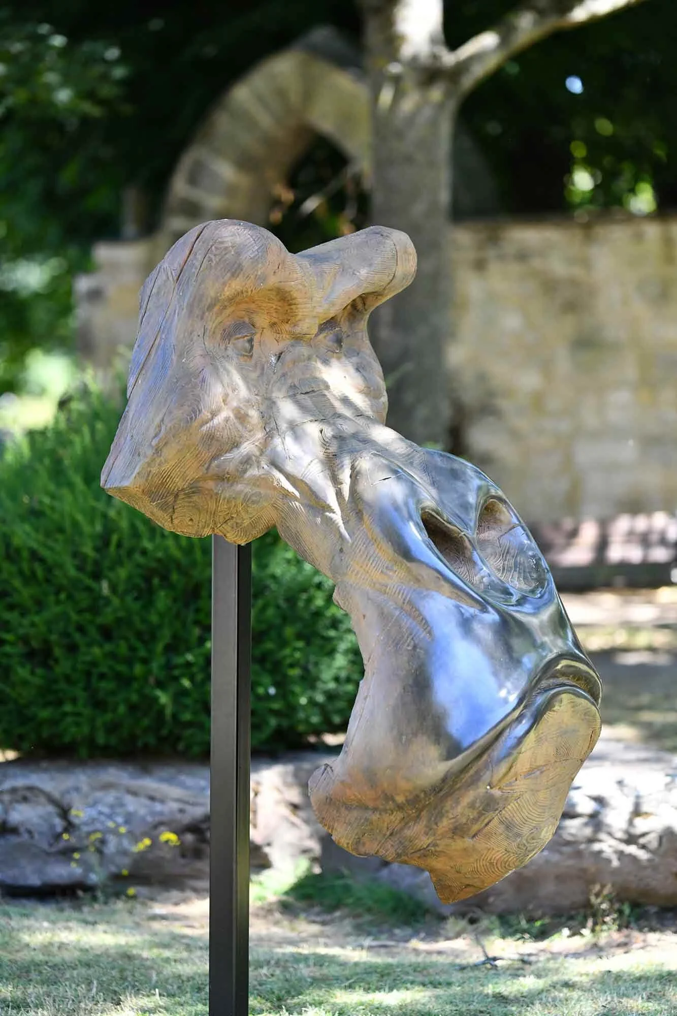 partenariatCompiegne_Gorille_n1.jpg