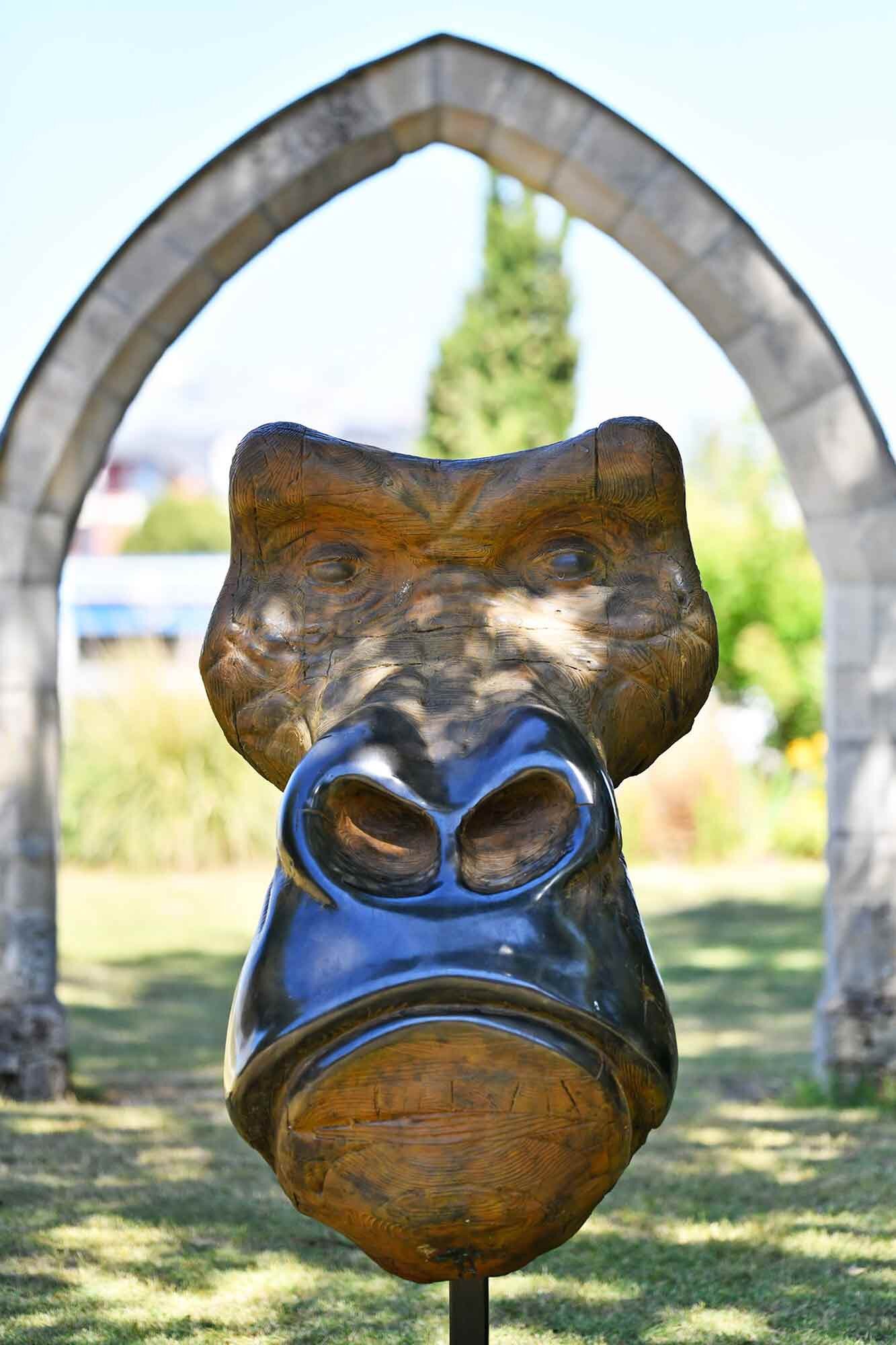 partenariatCompiegne_Gorille_n2.jpg