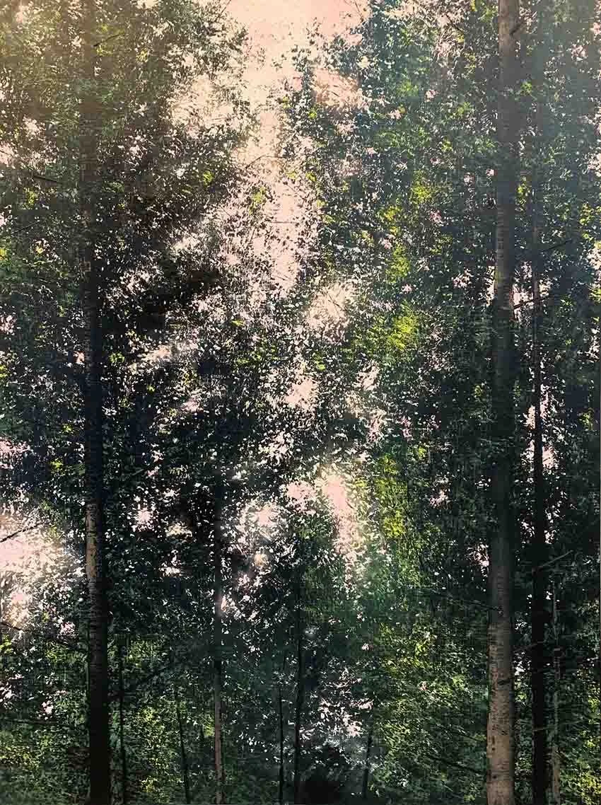 PAYSAGE ROMANTIQUE130x97cm_a web.jpg