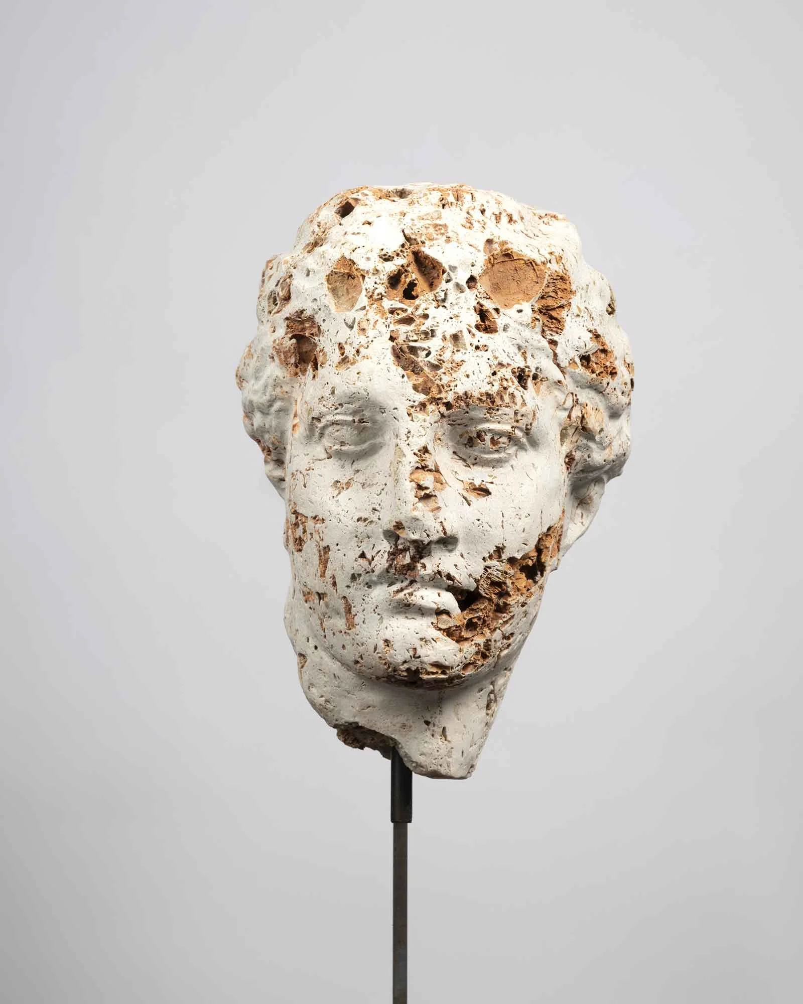 MP-Cave-Head-Pelletti_aprile_23_0062-web.jpg