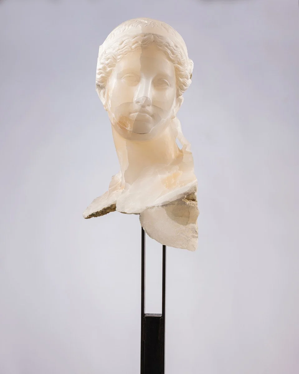 MP White Venus 275 copy.jpeg