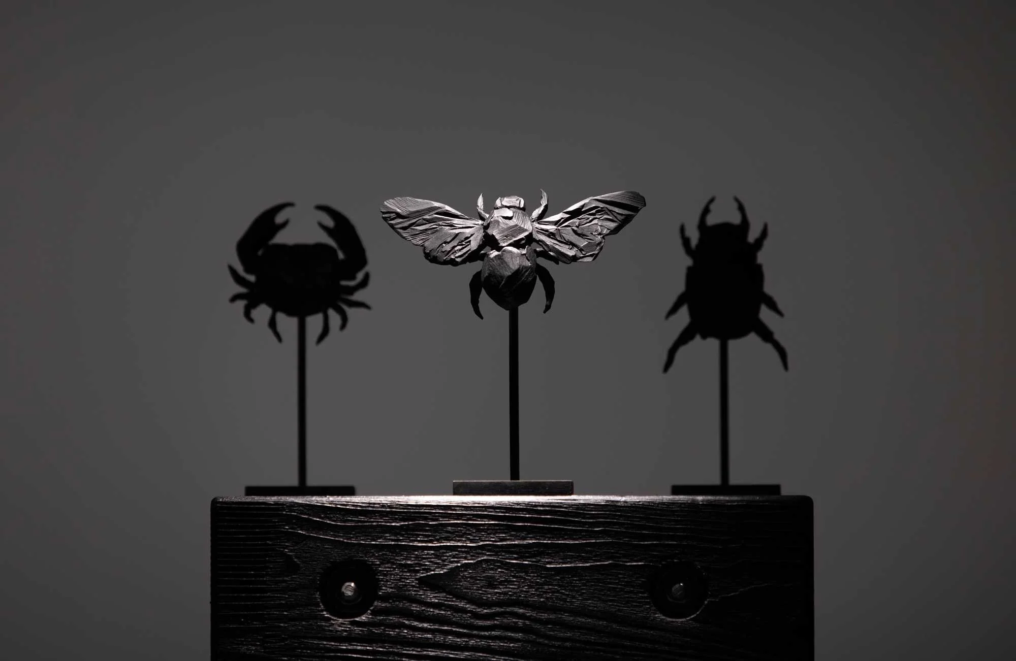YM-abeille_O1A2166-+-web.jpg