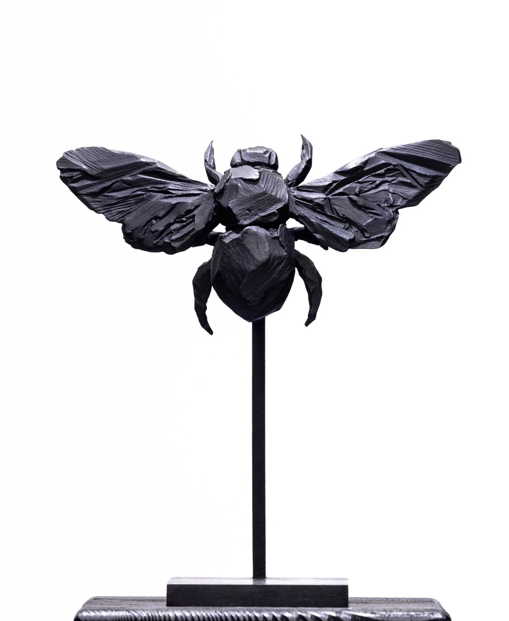 YM-abeille_O1A2515-web.jpg