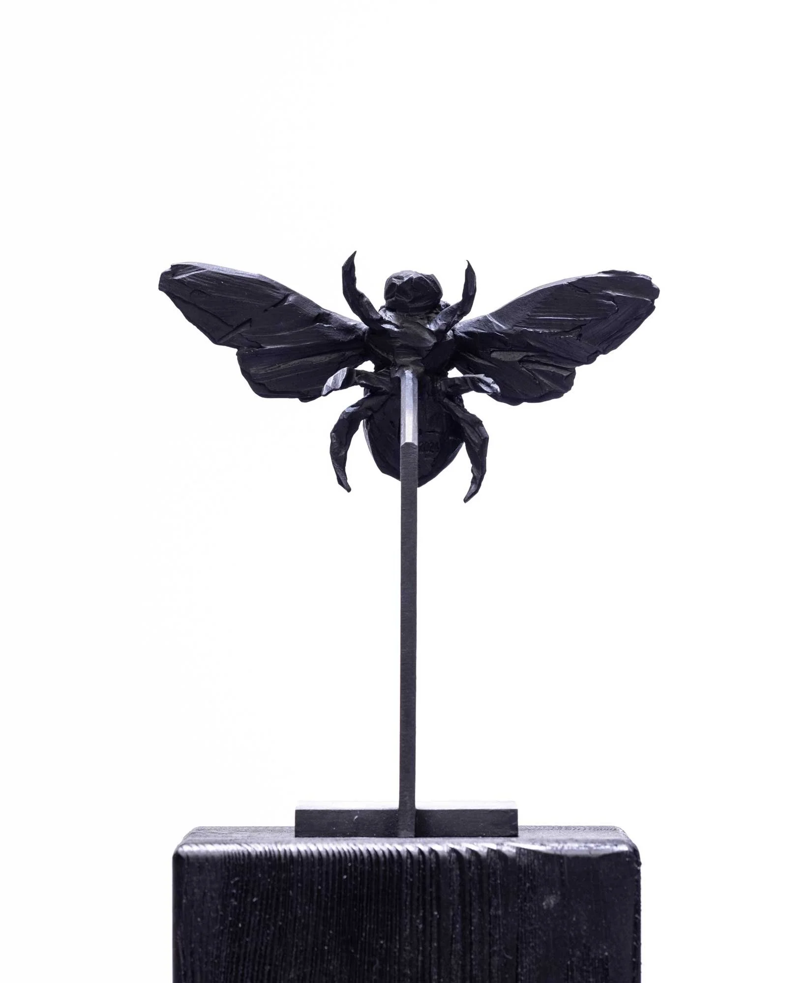 YM-abeille_O1A2520-web.jpg
