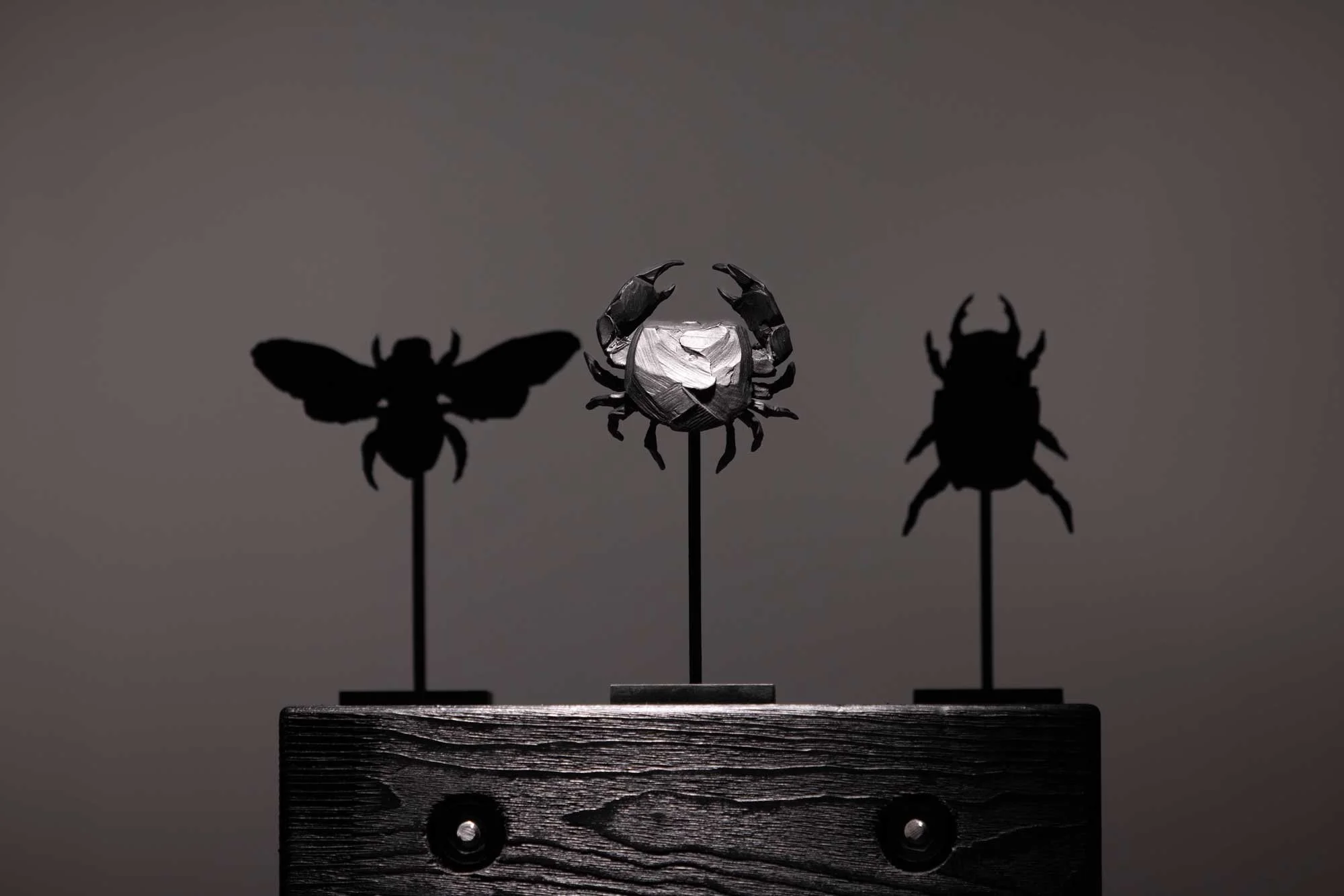 YM-crabe_O1A2180-web.jpg
