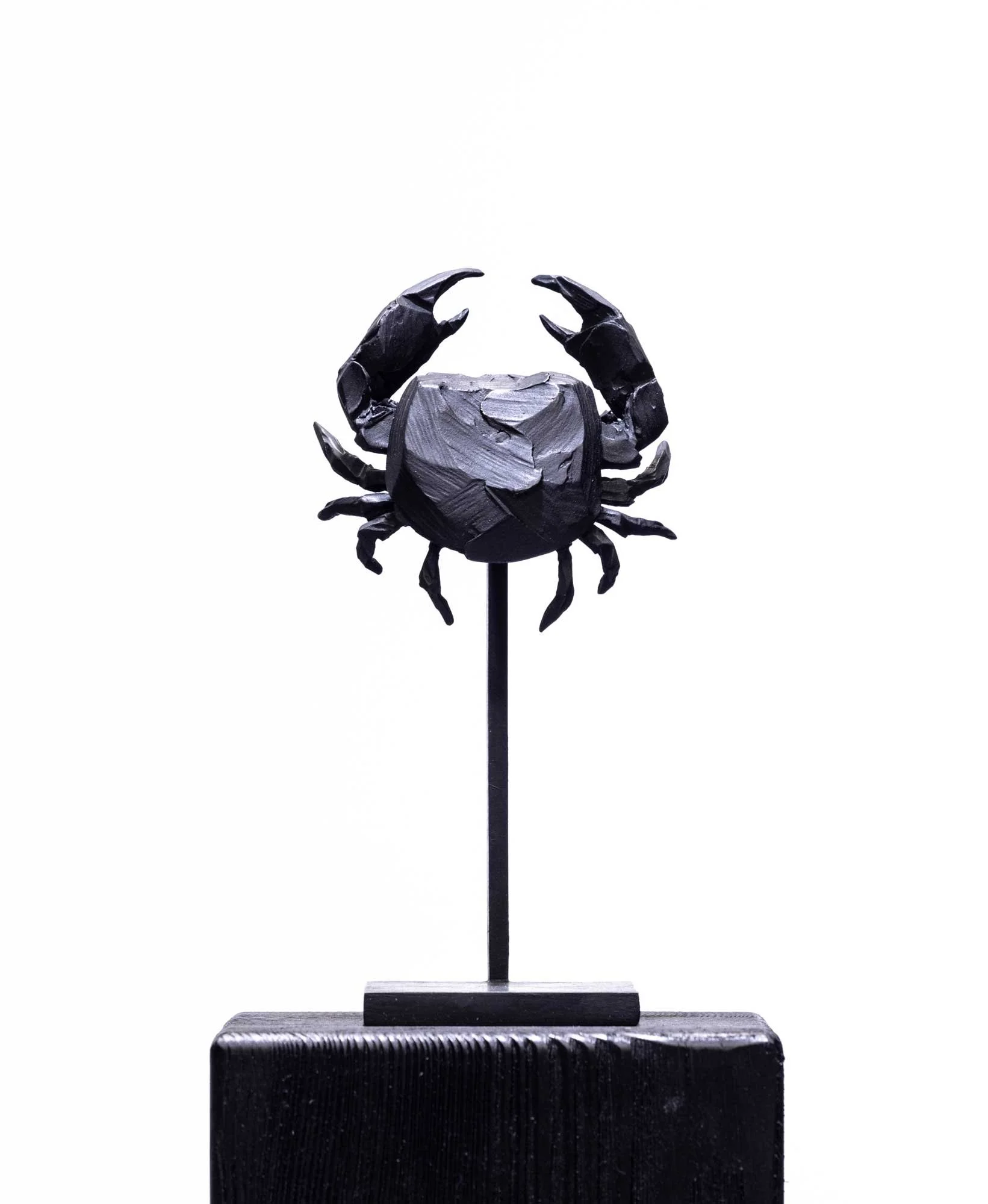 YM-crabe_O1A2521-web.jpg
