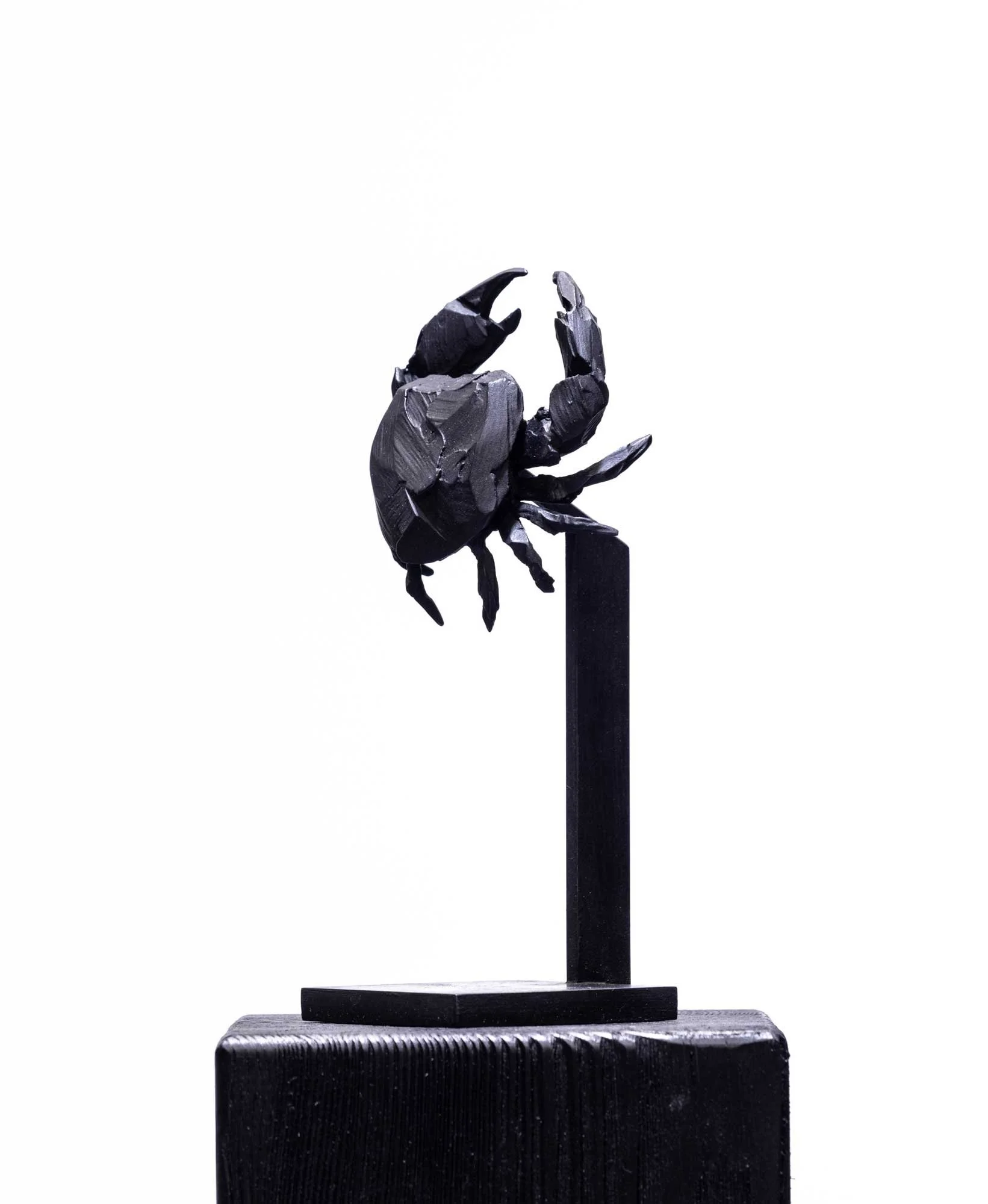 YM-crabe_O1A2522-web.jpg