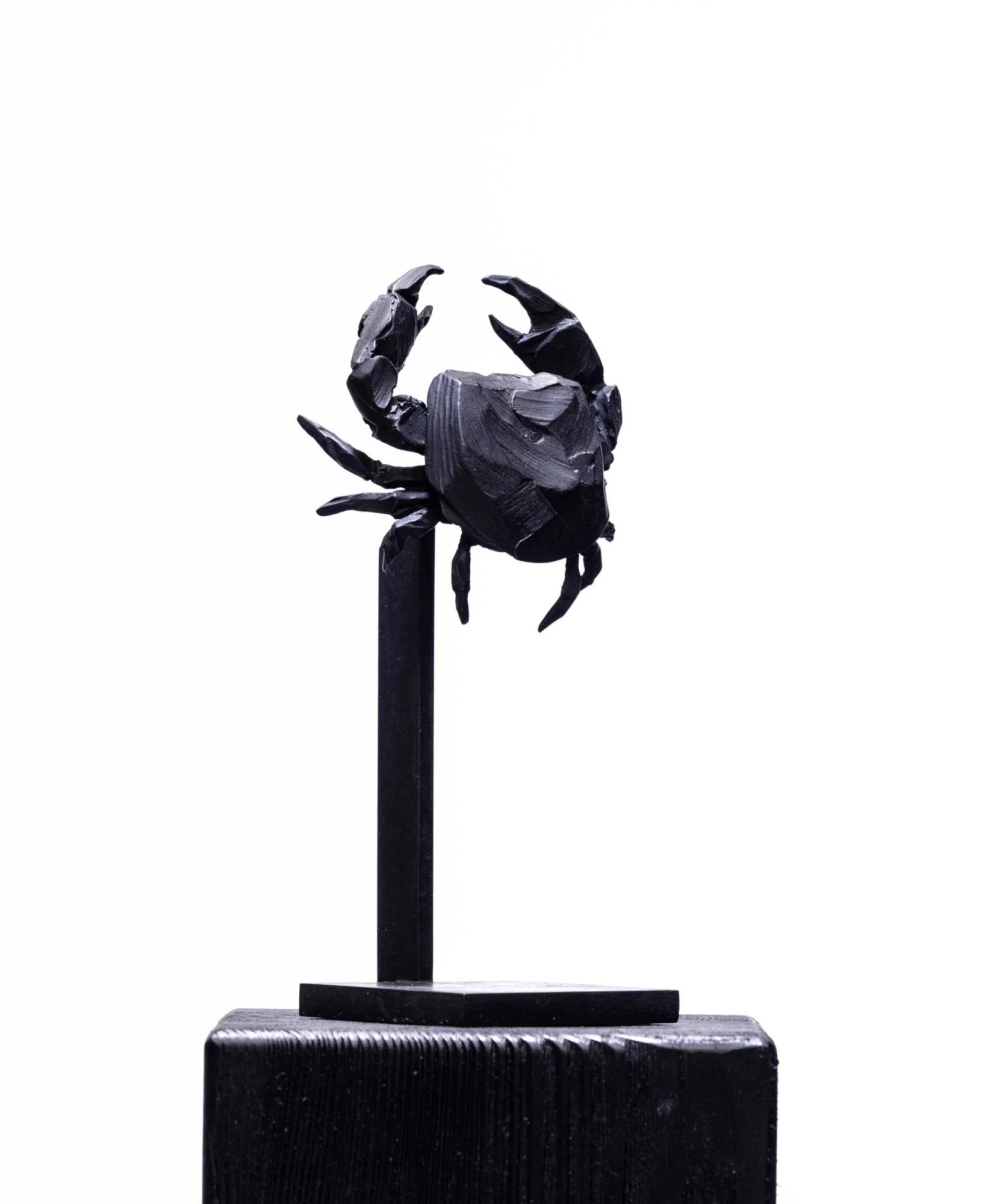 YM-crabe_O1A2523-web.jpg