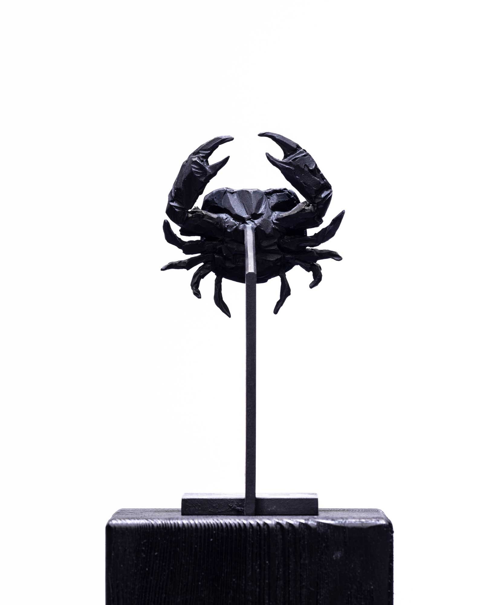 YM-crabe_O1A2524-web.jpg