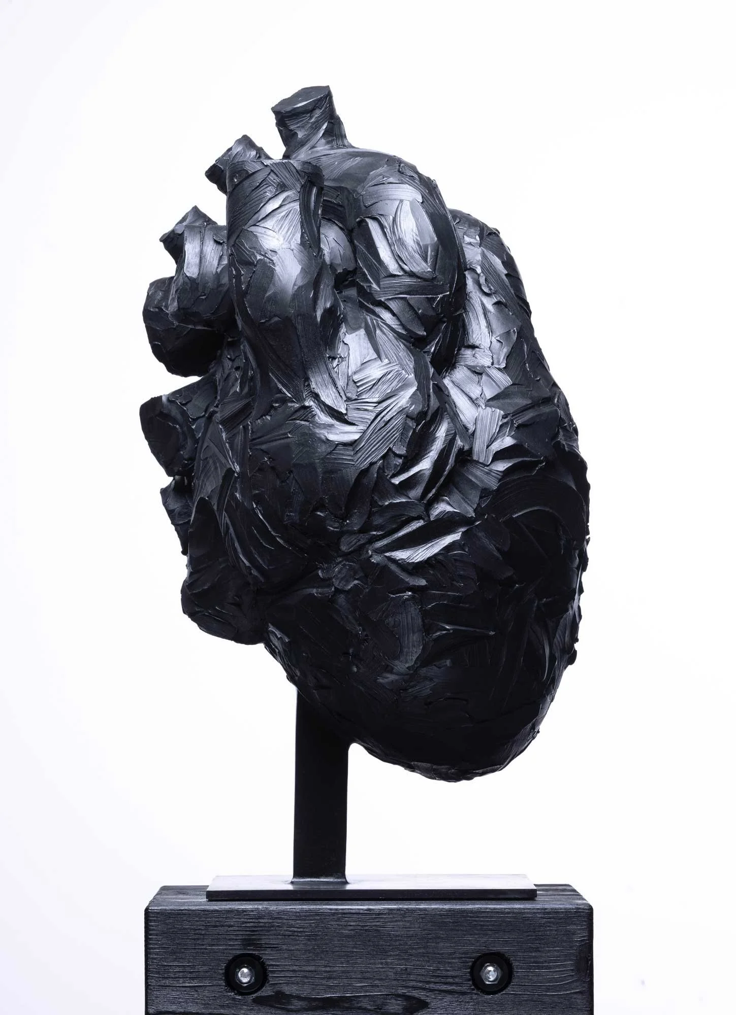 YM-coeur-de-geant_O1A2584-web.jpg