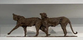 PV-2024-011-Couple-de-Guepards web.jpg