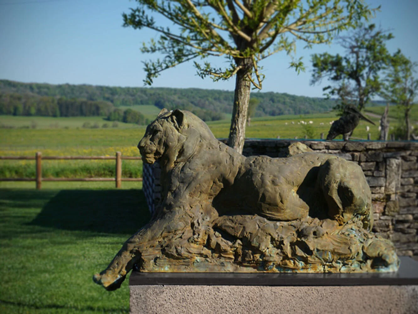 2018003_PV_Jaguar_l1.jpg
